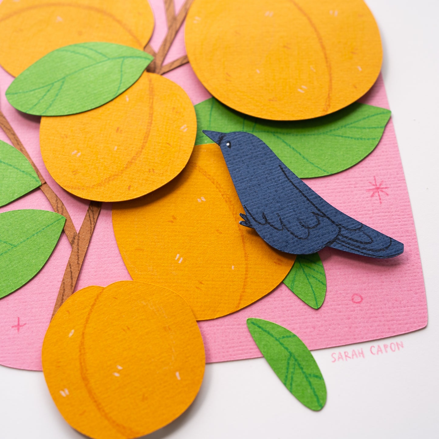Apricot Original