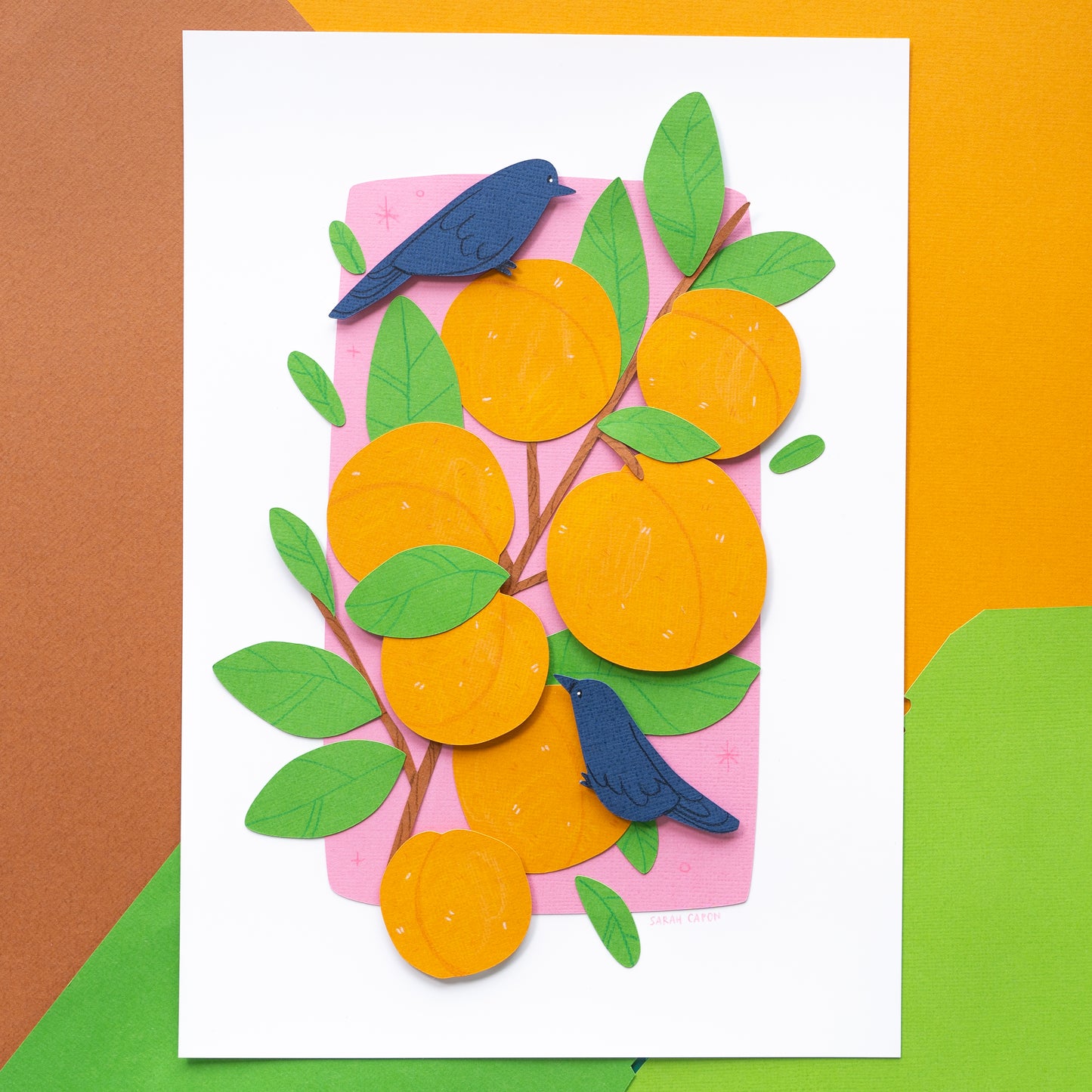Apricot Original