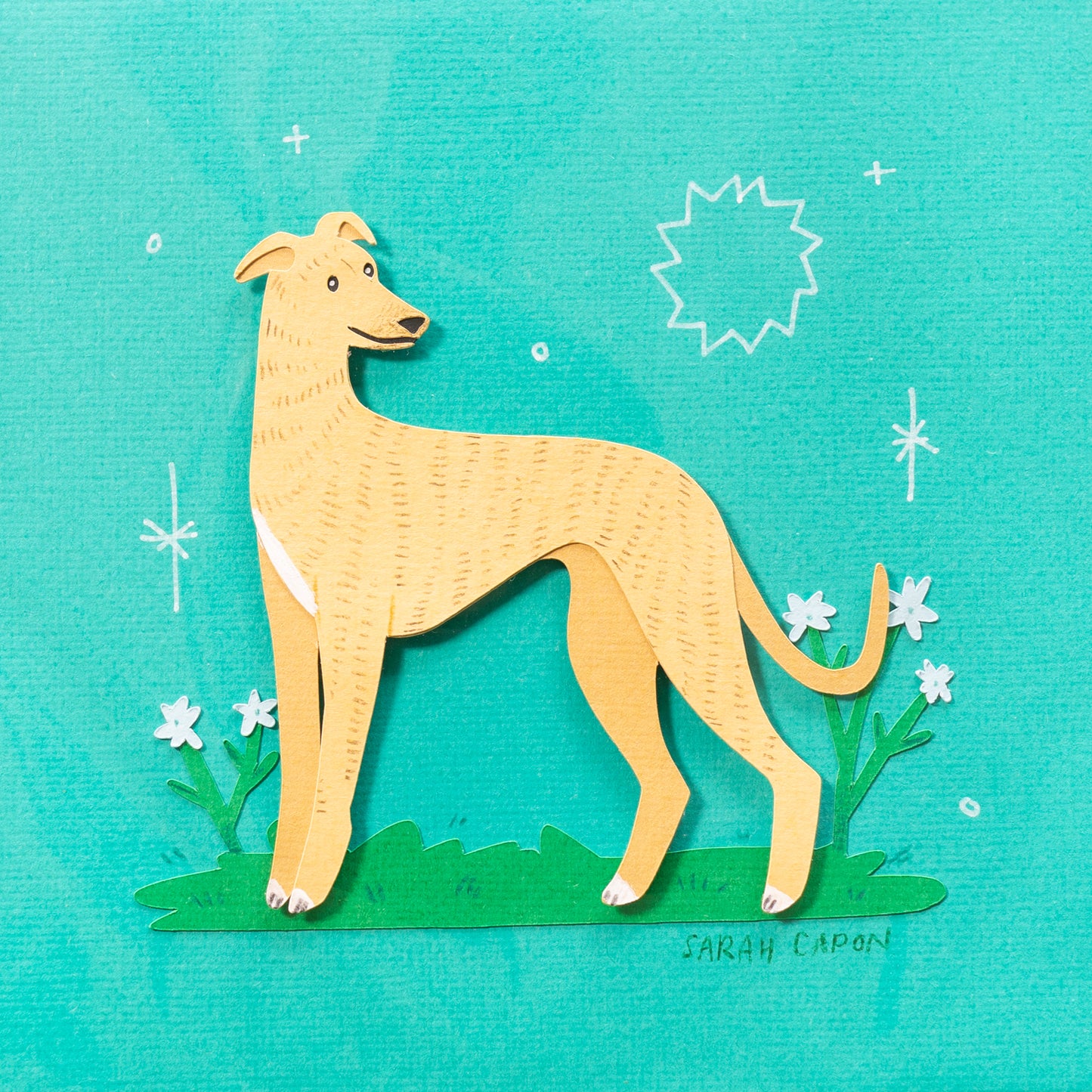 Greyhounds