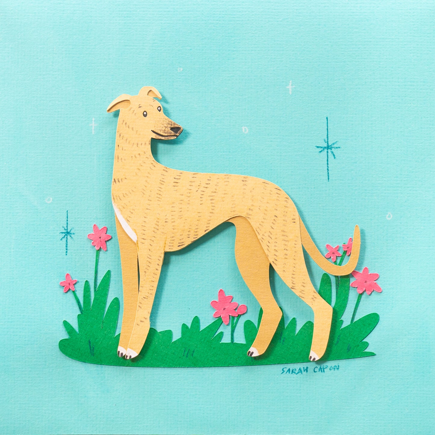 Greyhounds
