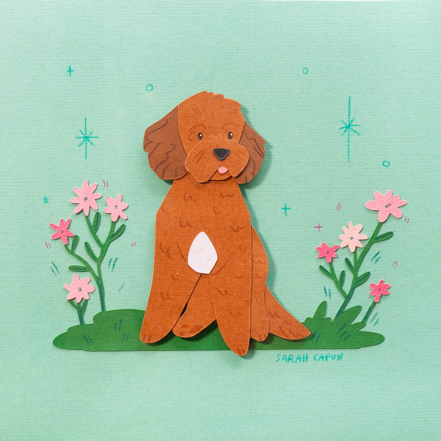 Small Poodle / Oodle