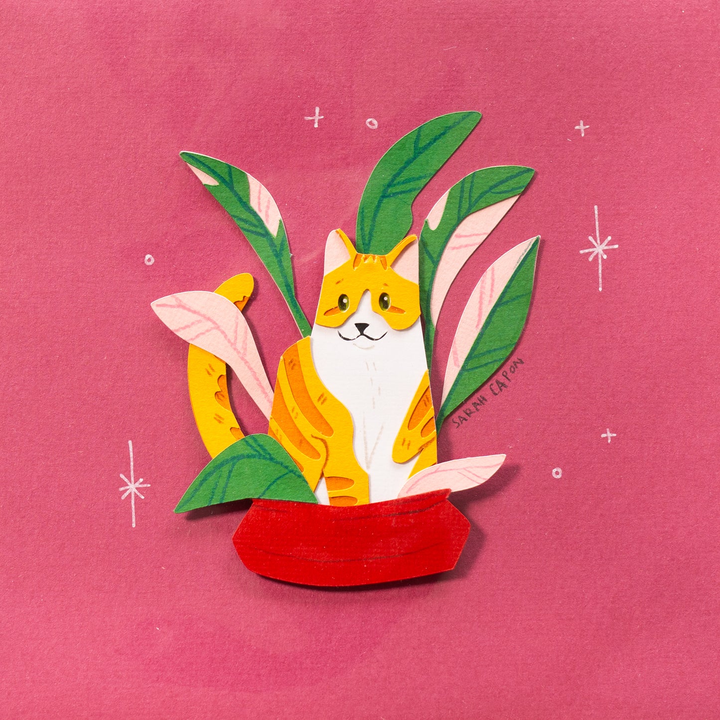 Tabby Cats in Plants