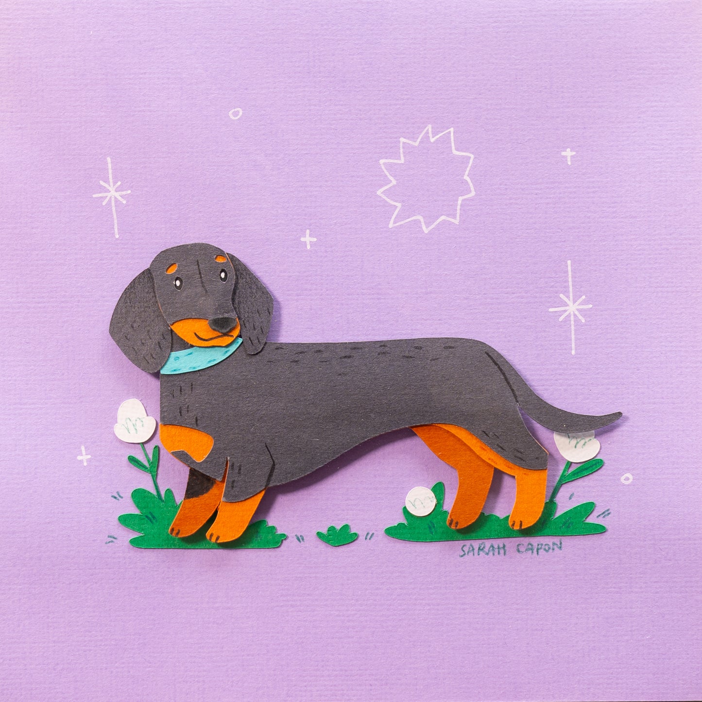 Sausage Dogs