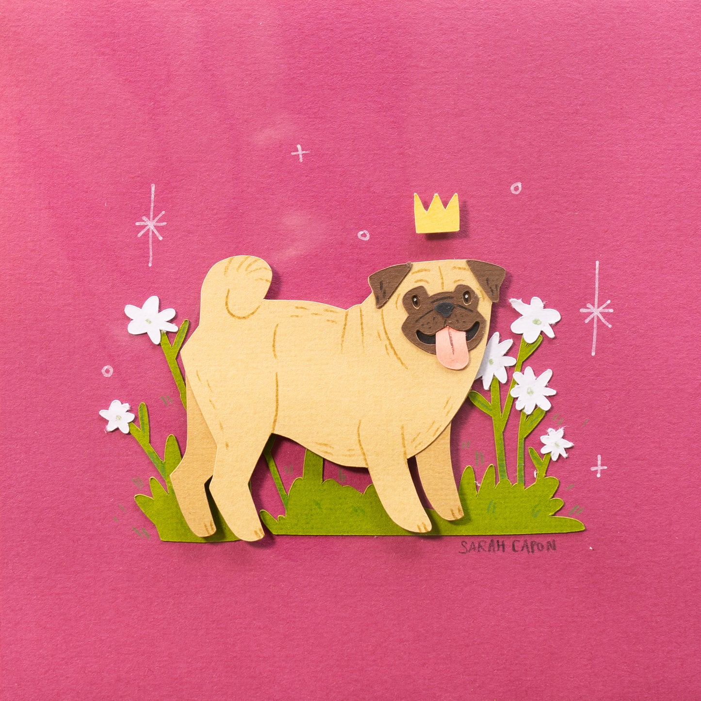 Pugs