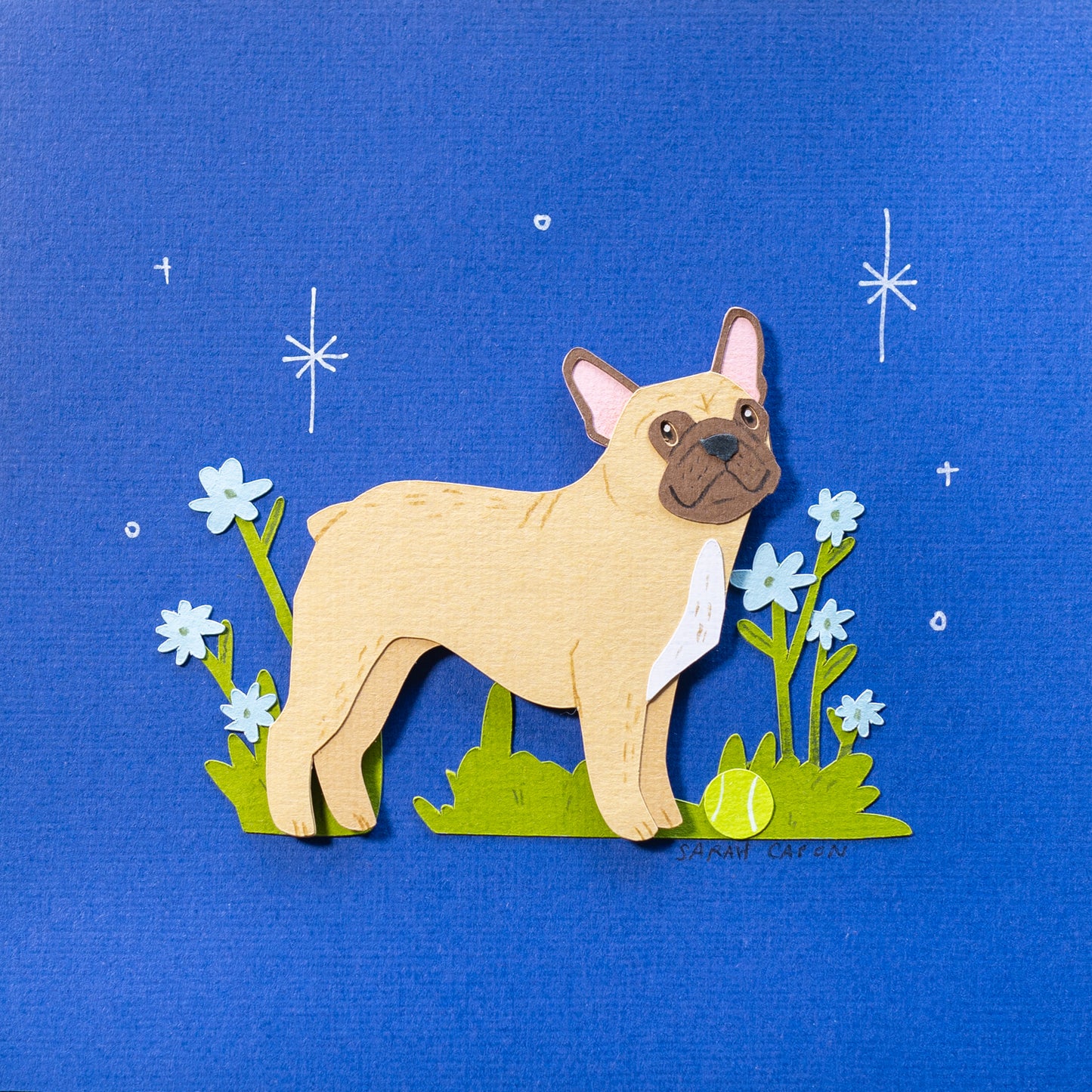 French Bulldogs