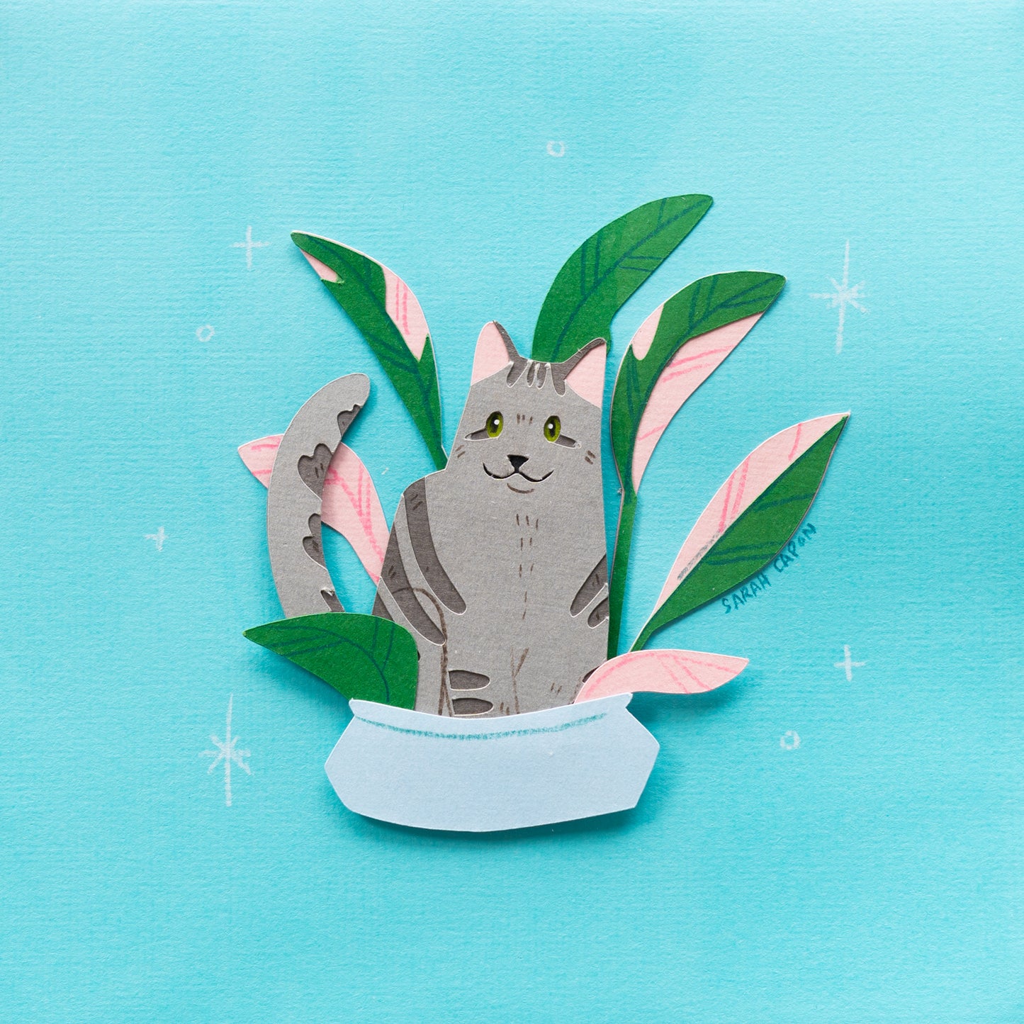Tabby Cats in Plants