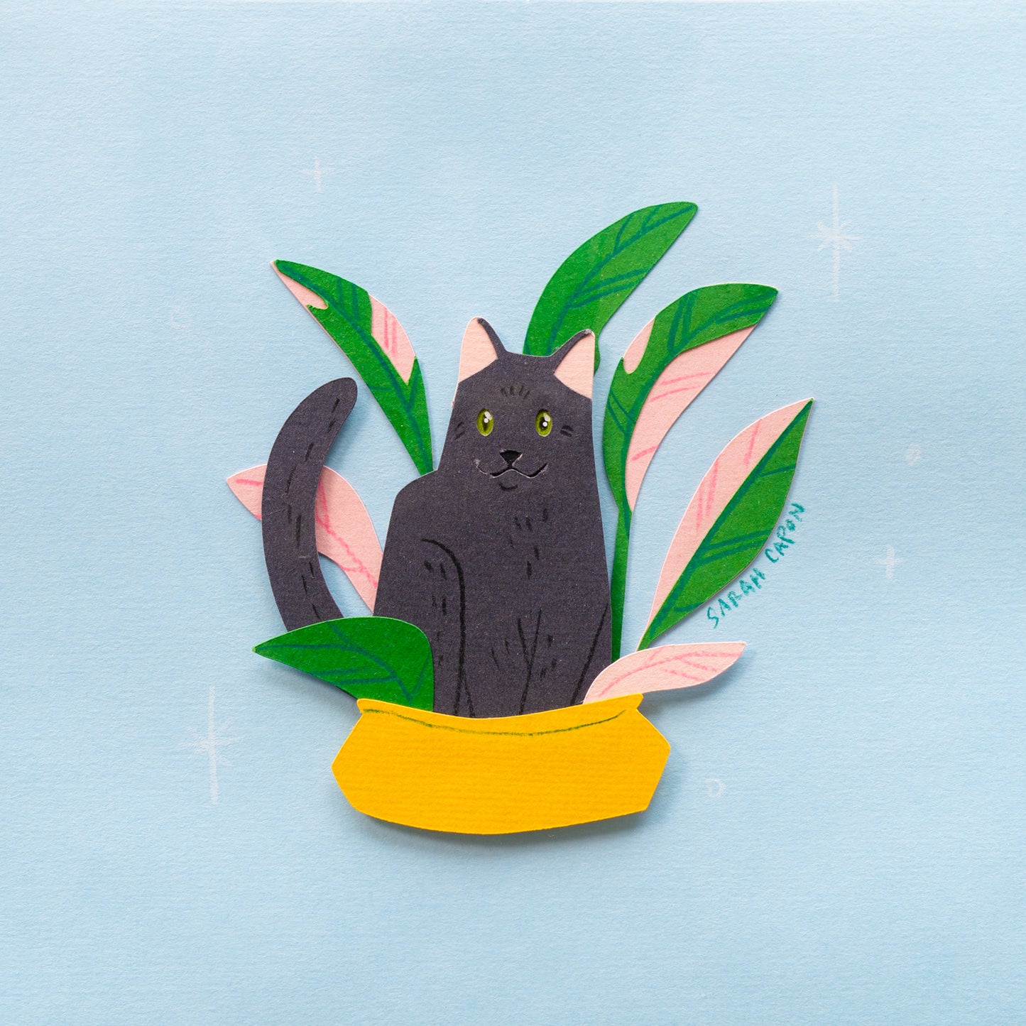 Black Cats in Plants