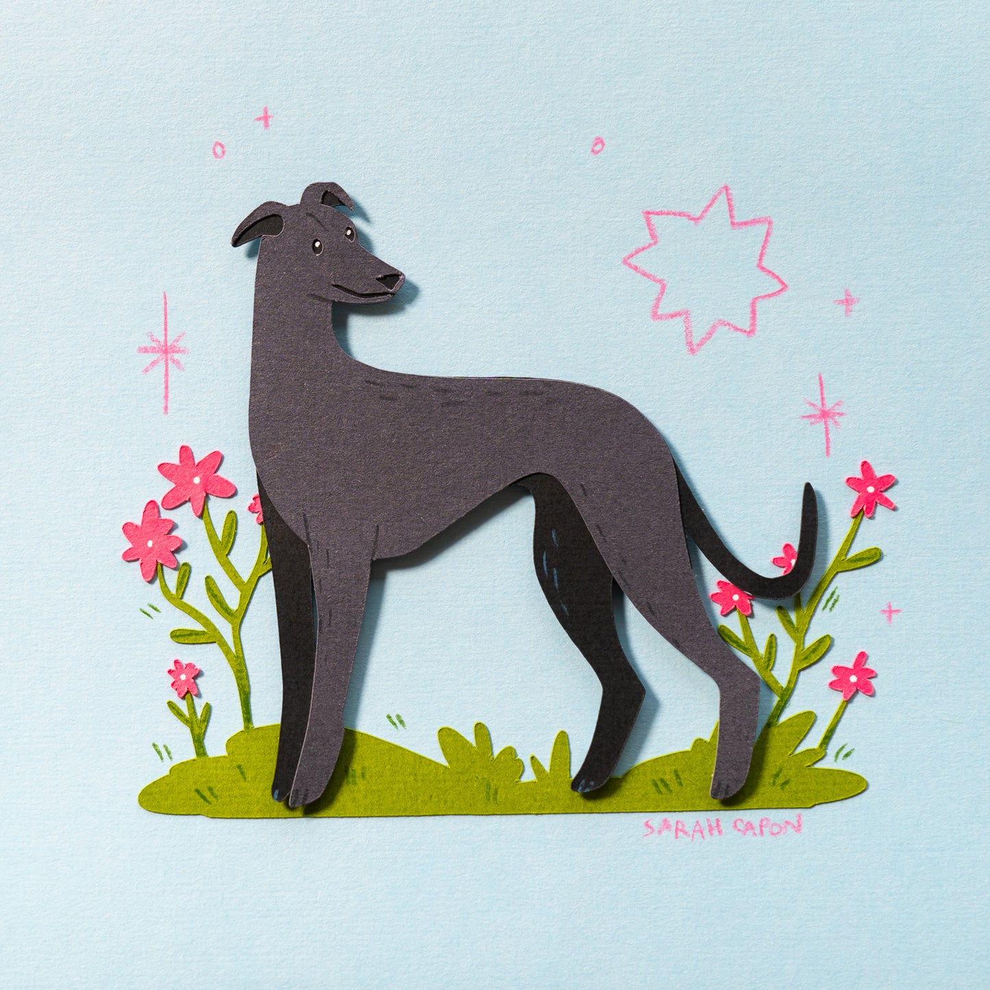 Greyhounds