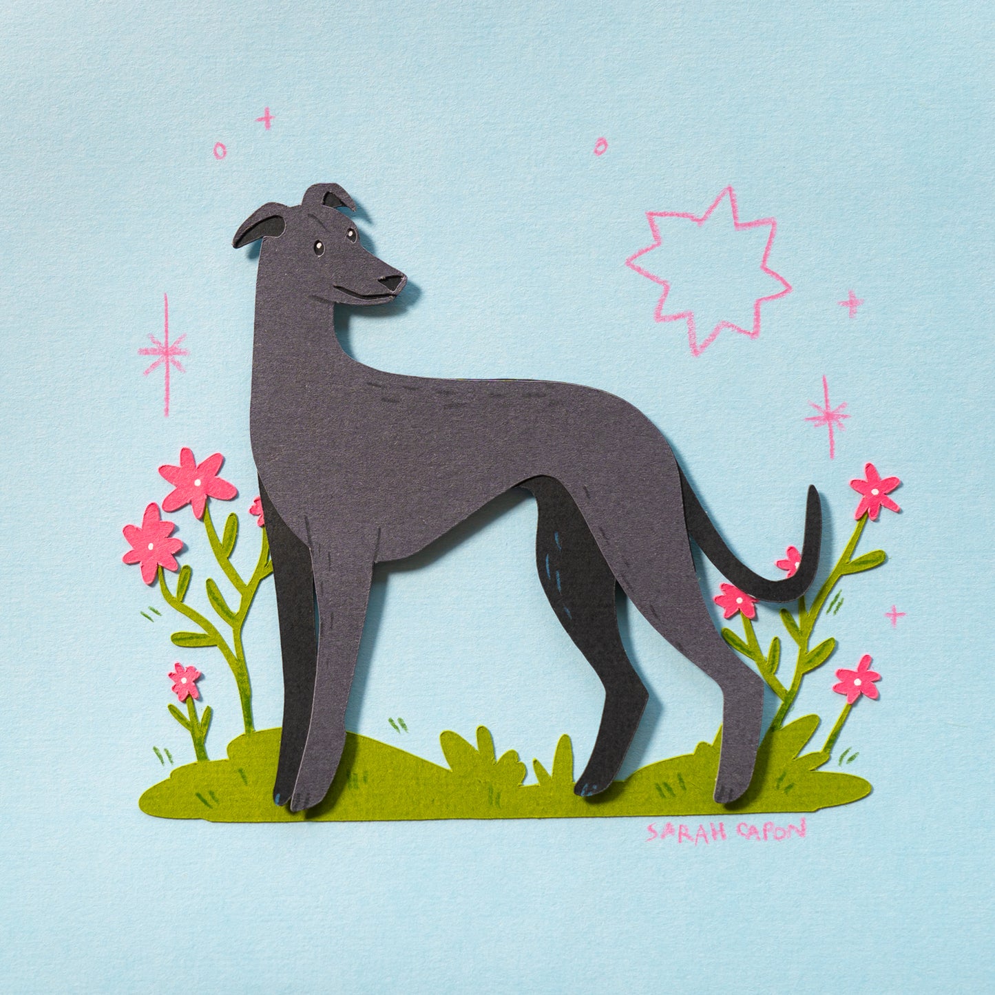 Greyhounds