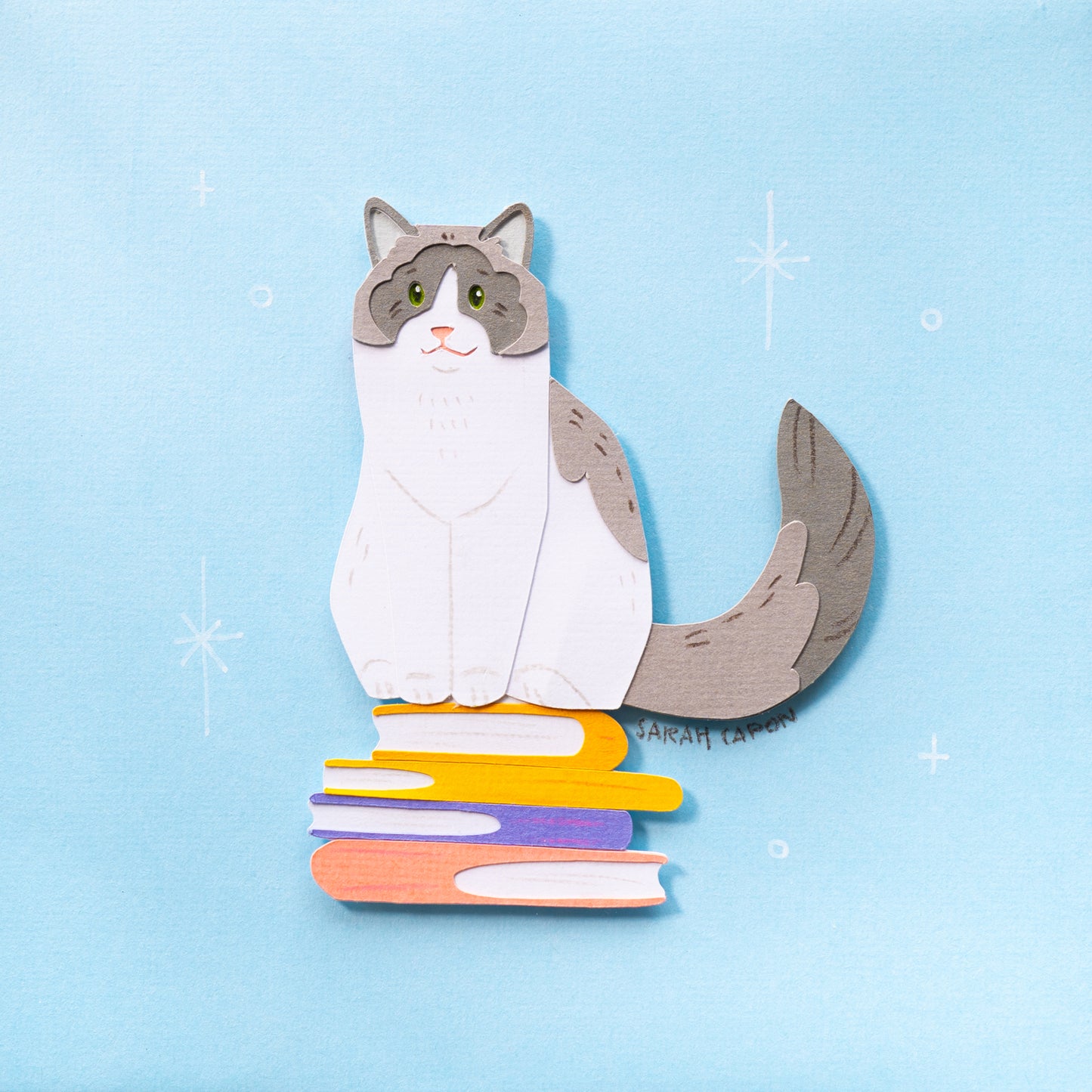 Ragdolls on Books