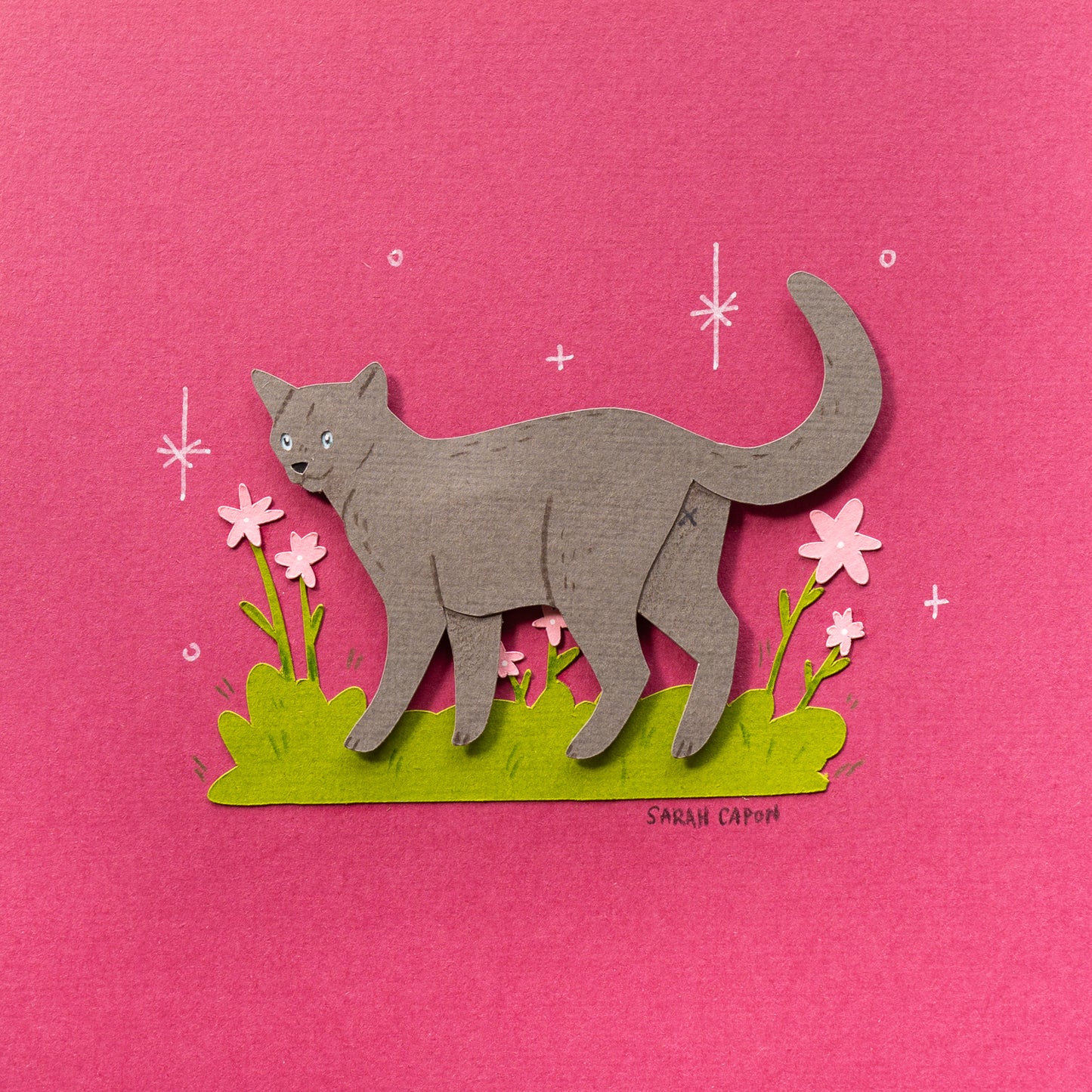 Cats Among Flowers