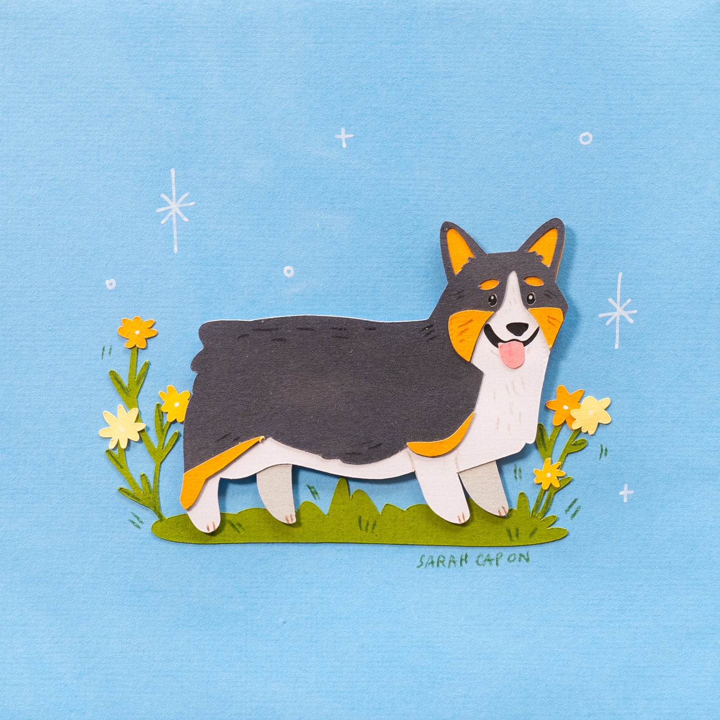Corgis
