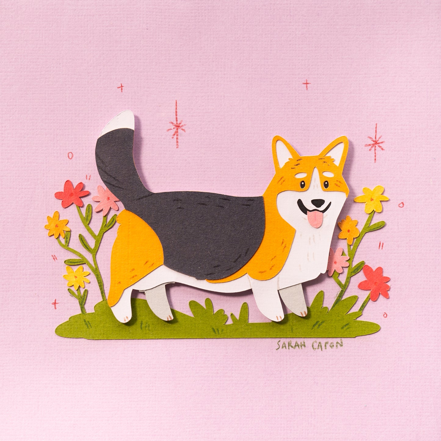 Corgis