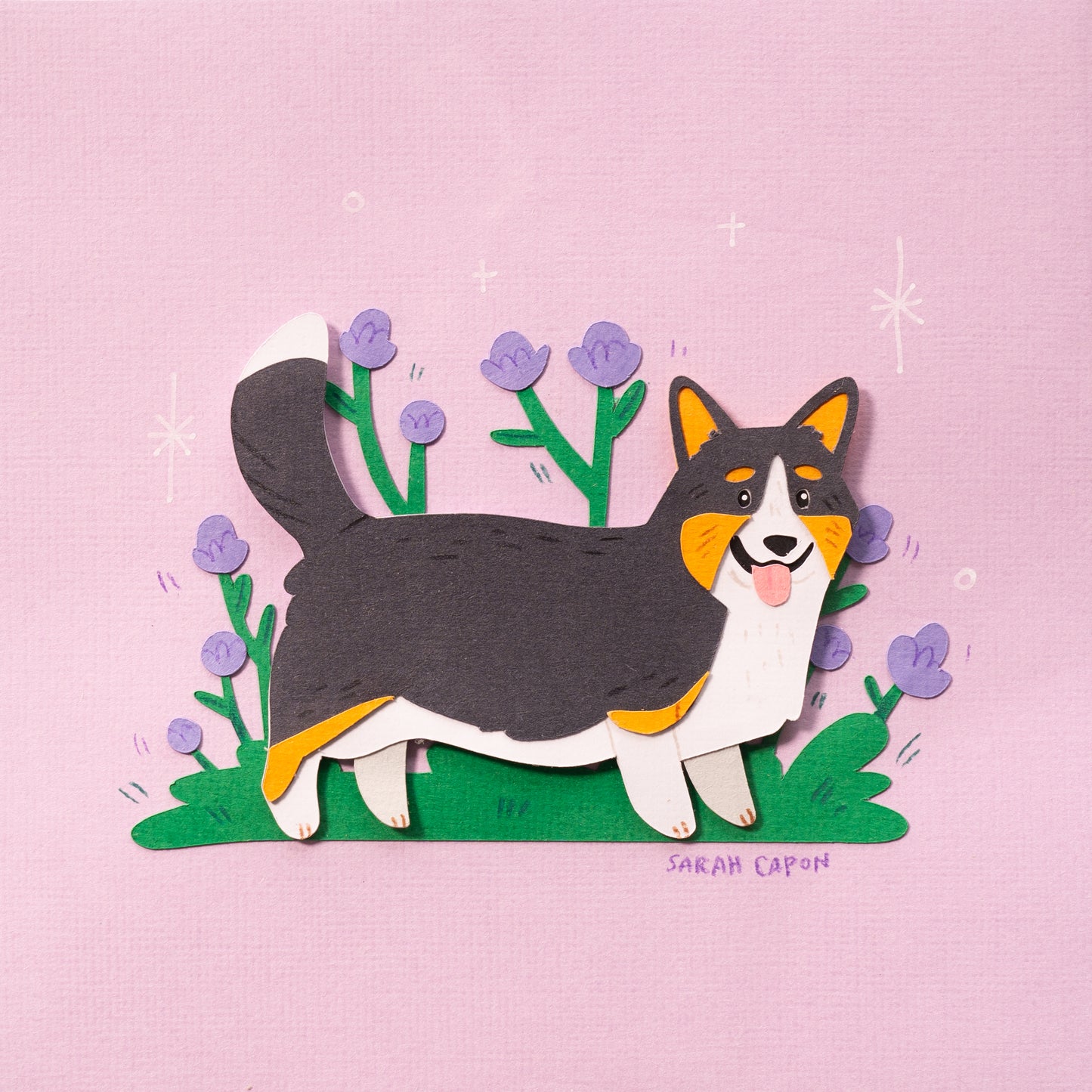 Corgis