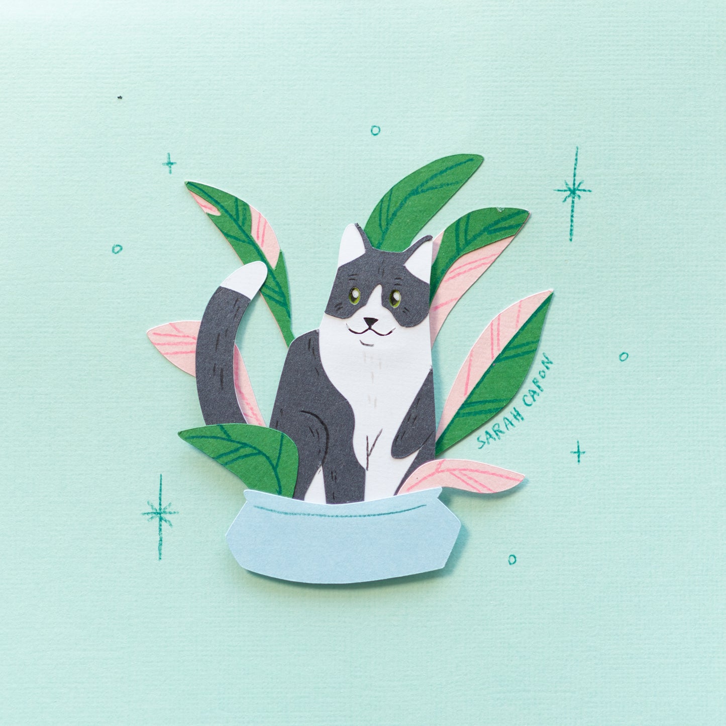 Black and White Cats in Plants