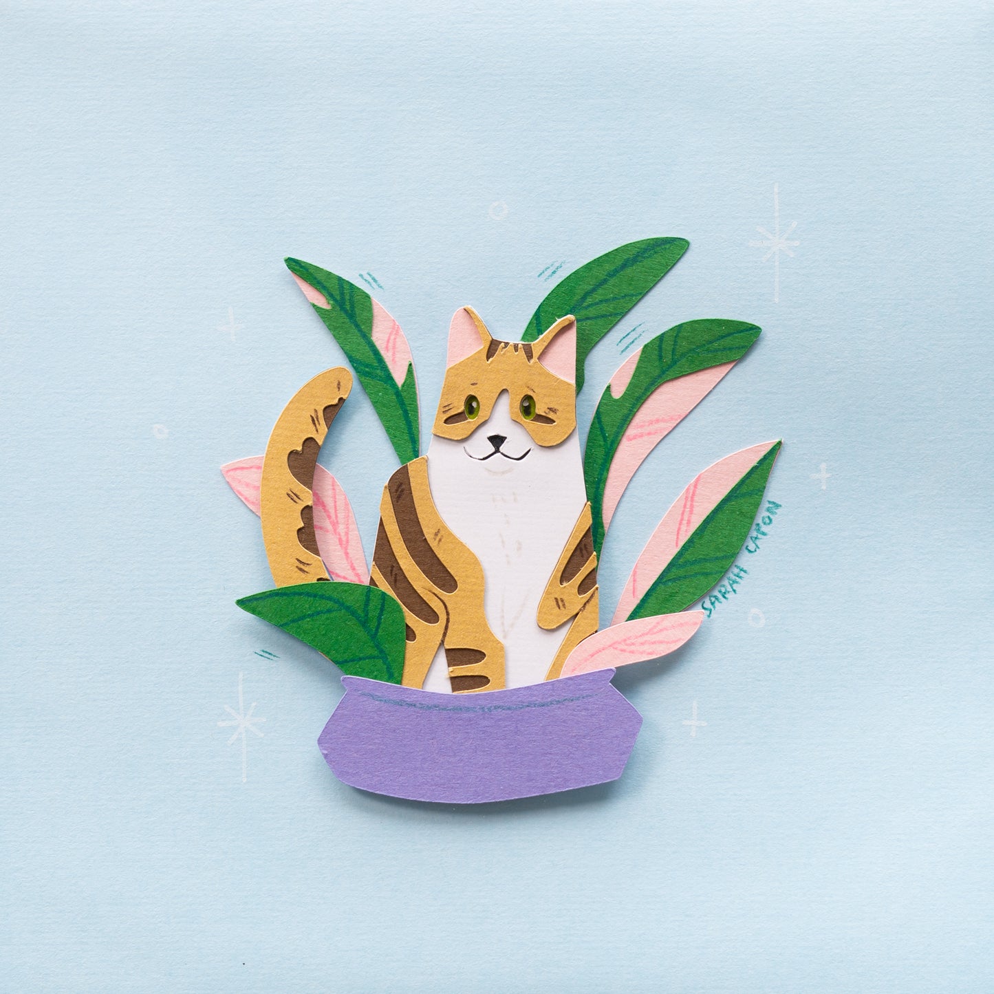 Tabby Cats in Plants