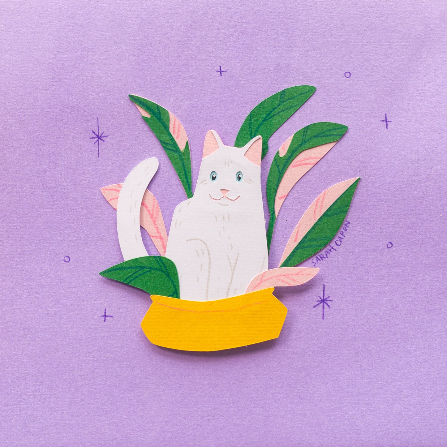 White Cats in Plants