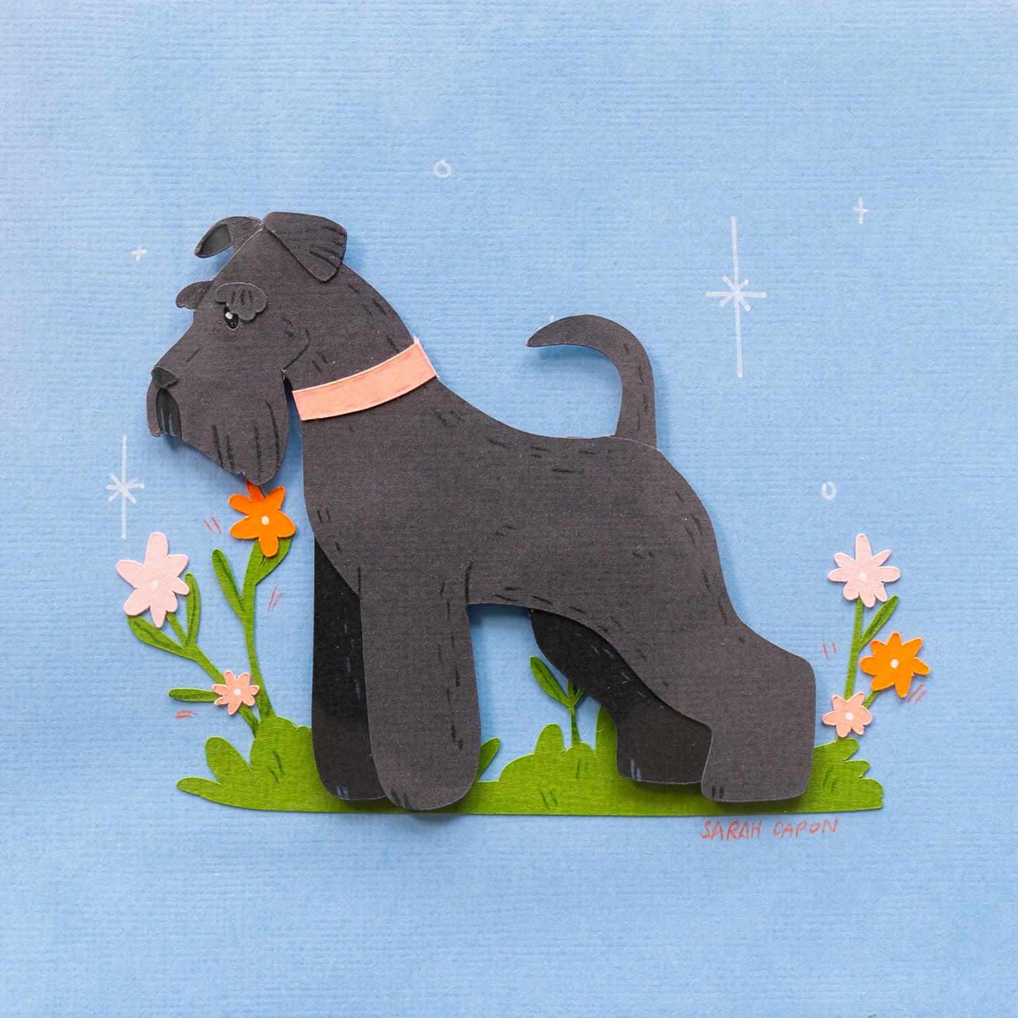 Schnauzers