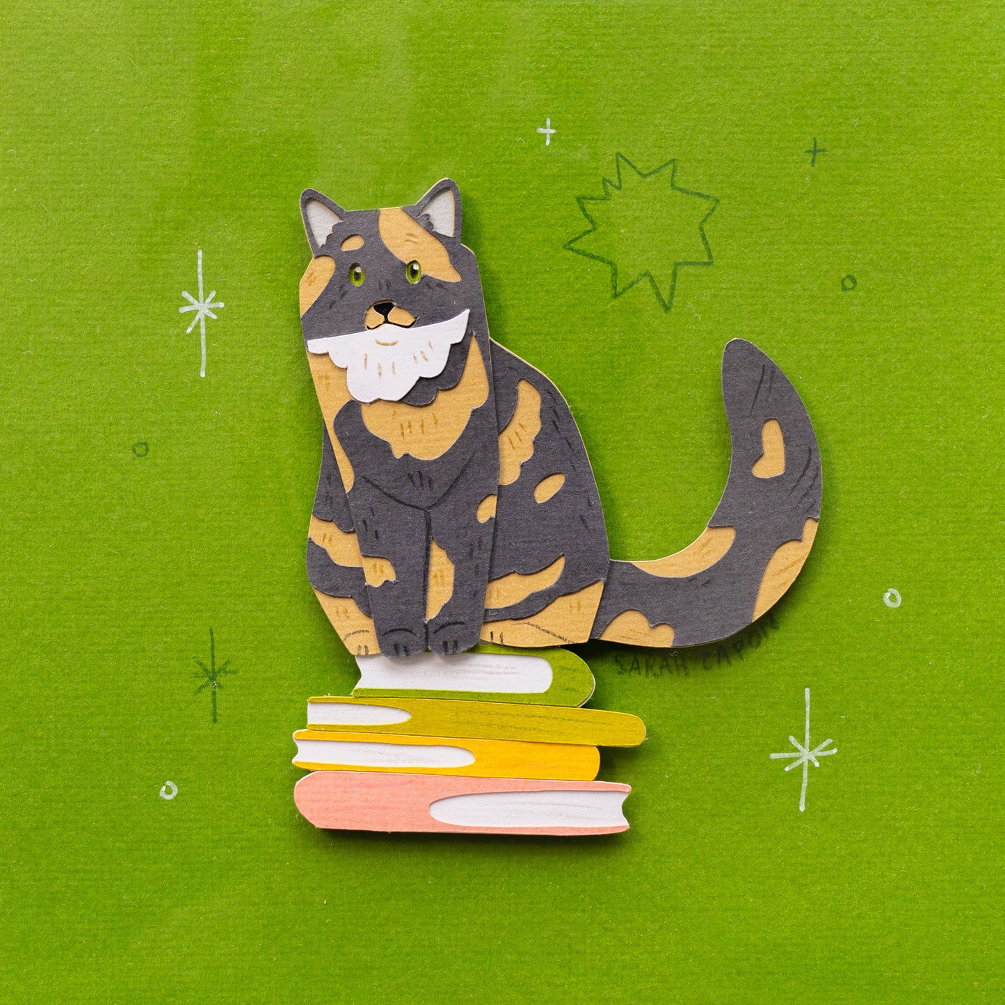 Torti Cats on Books