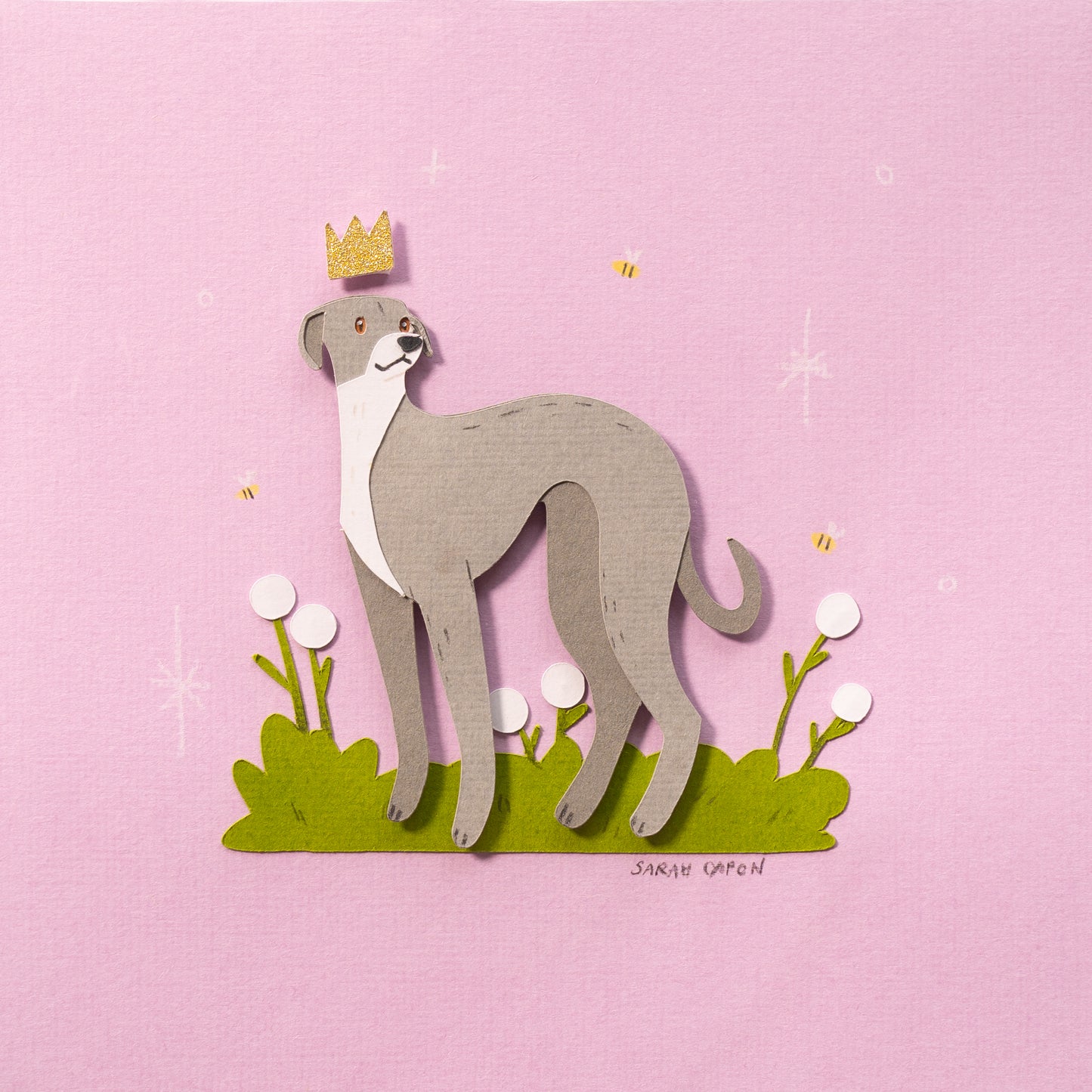 Italian Greyhound