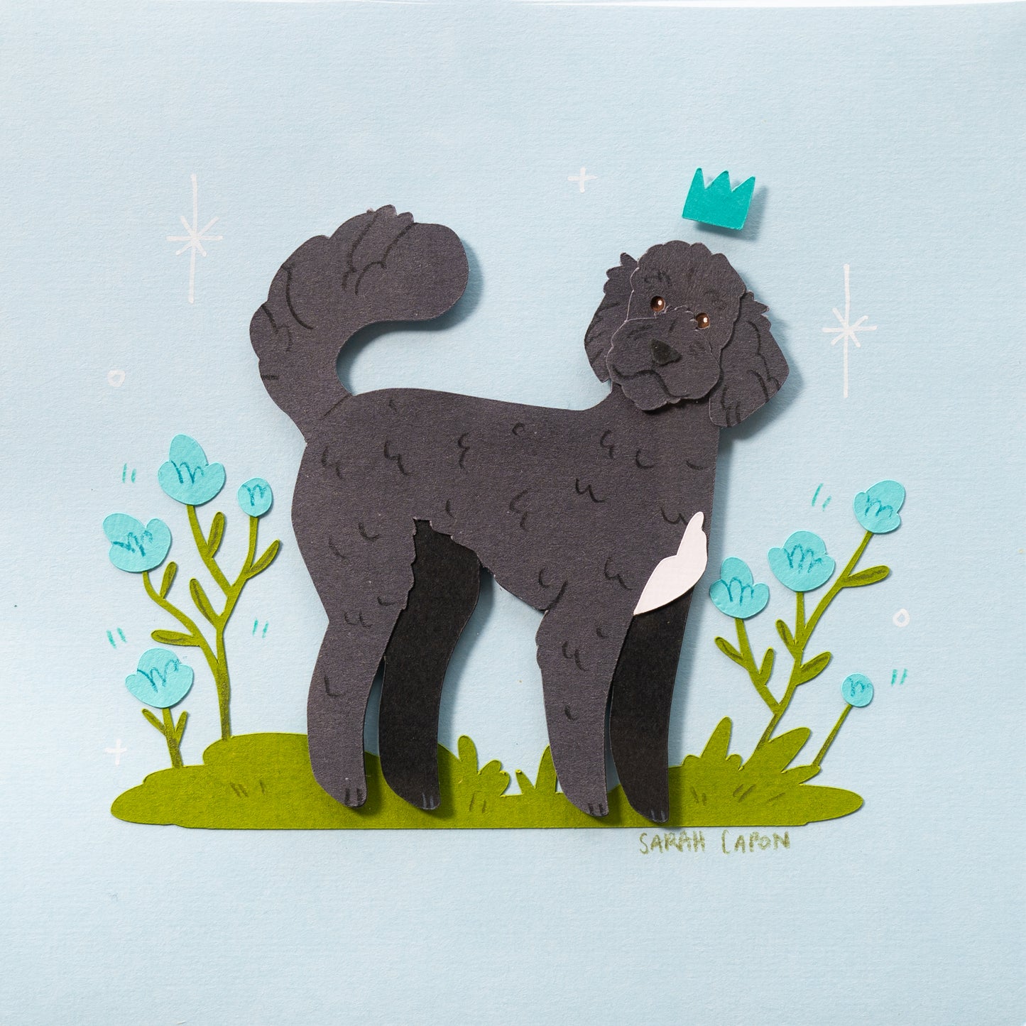 Fluffy Poodle / Oodle