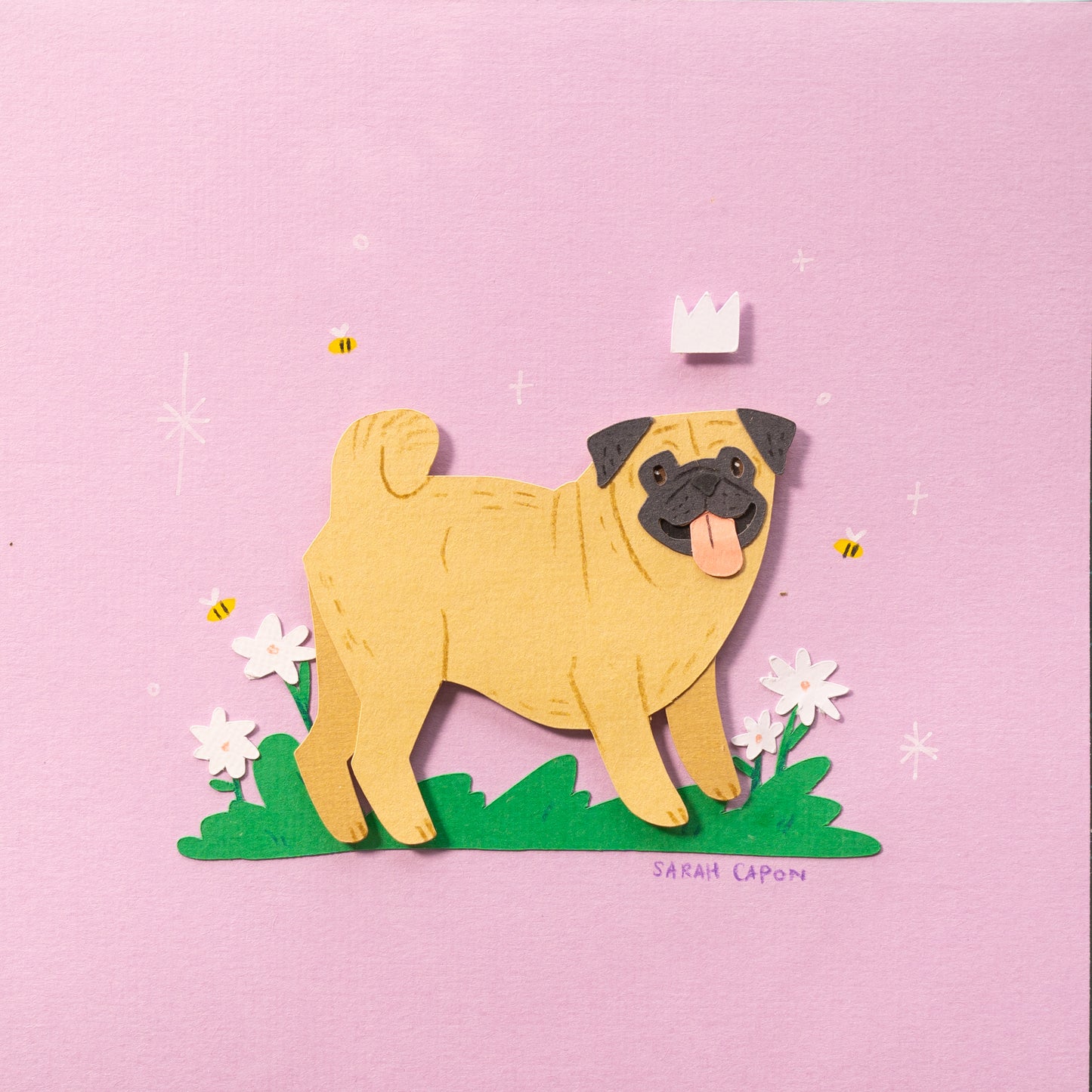 Pugs