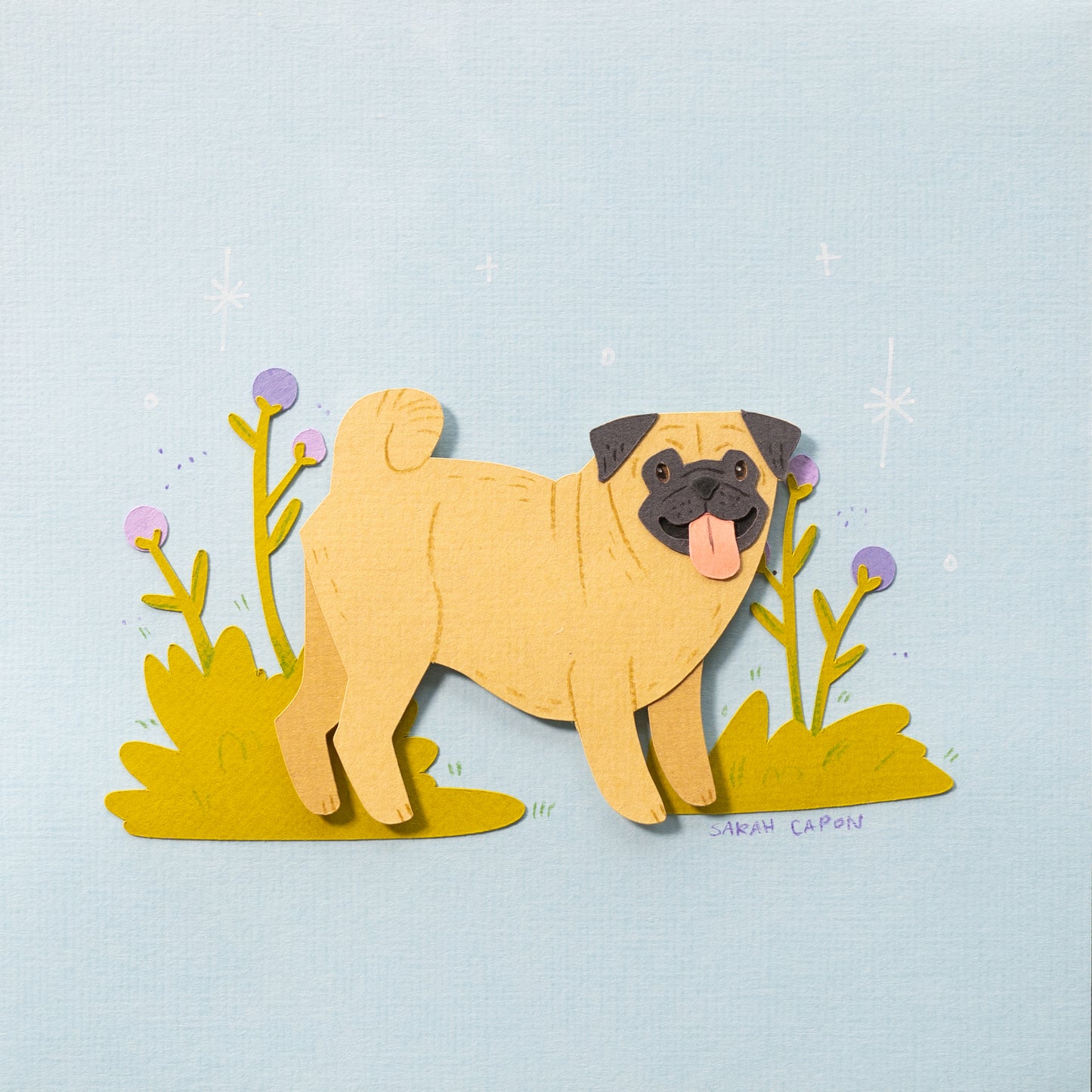 Pugs