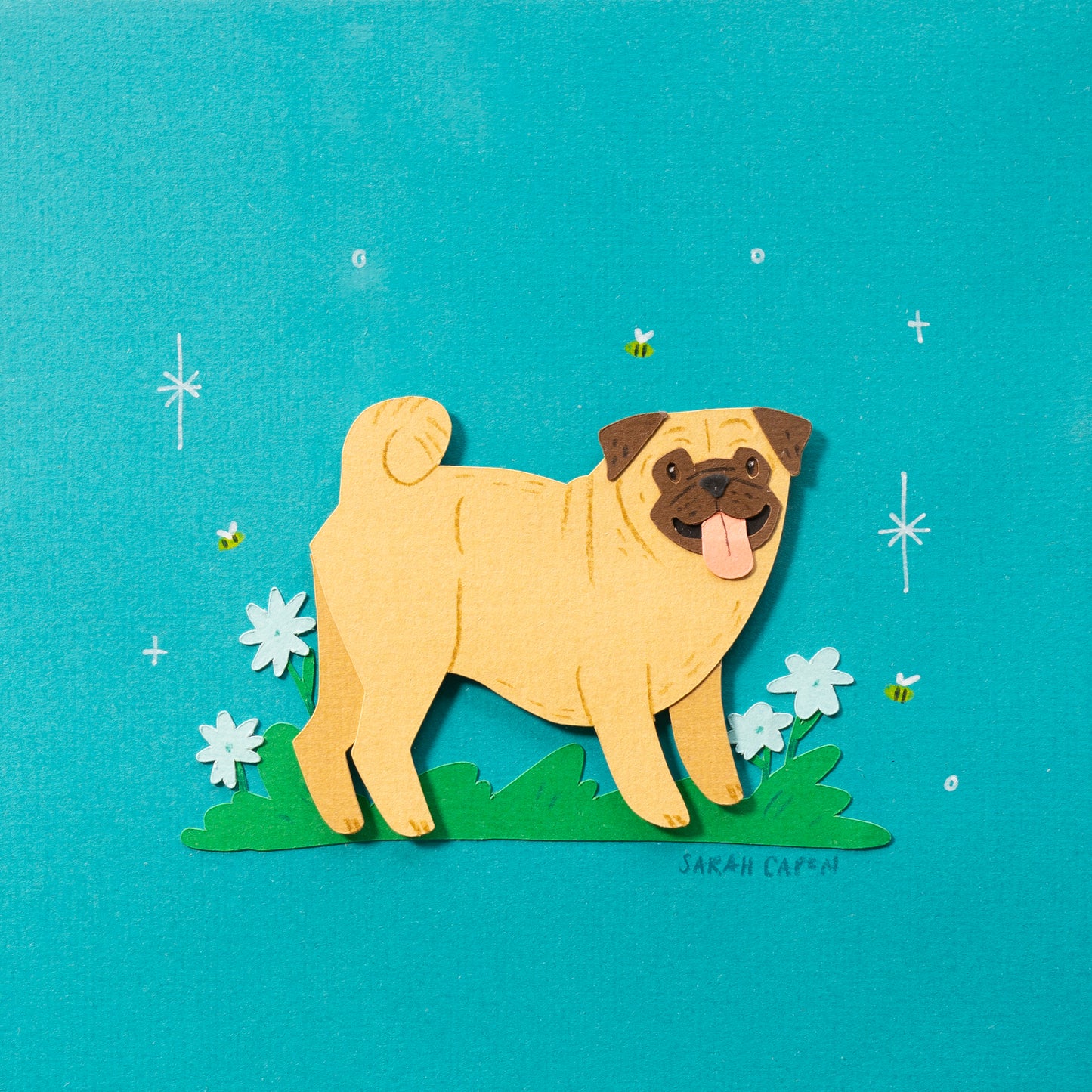 Pugs