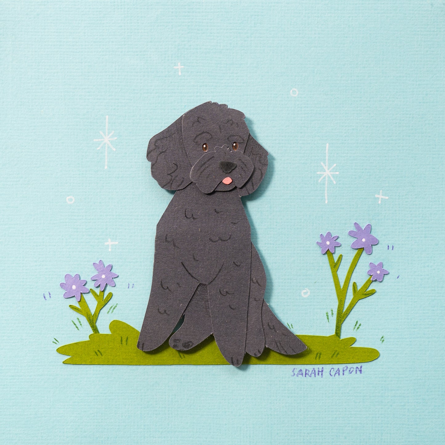 Small Poodle / Oodle