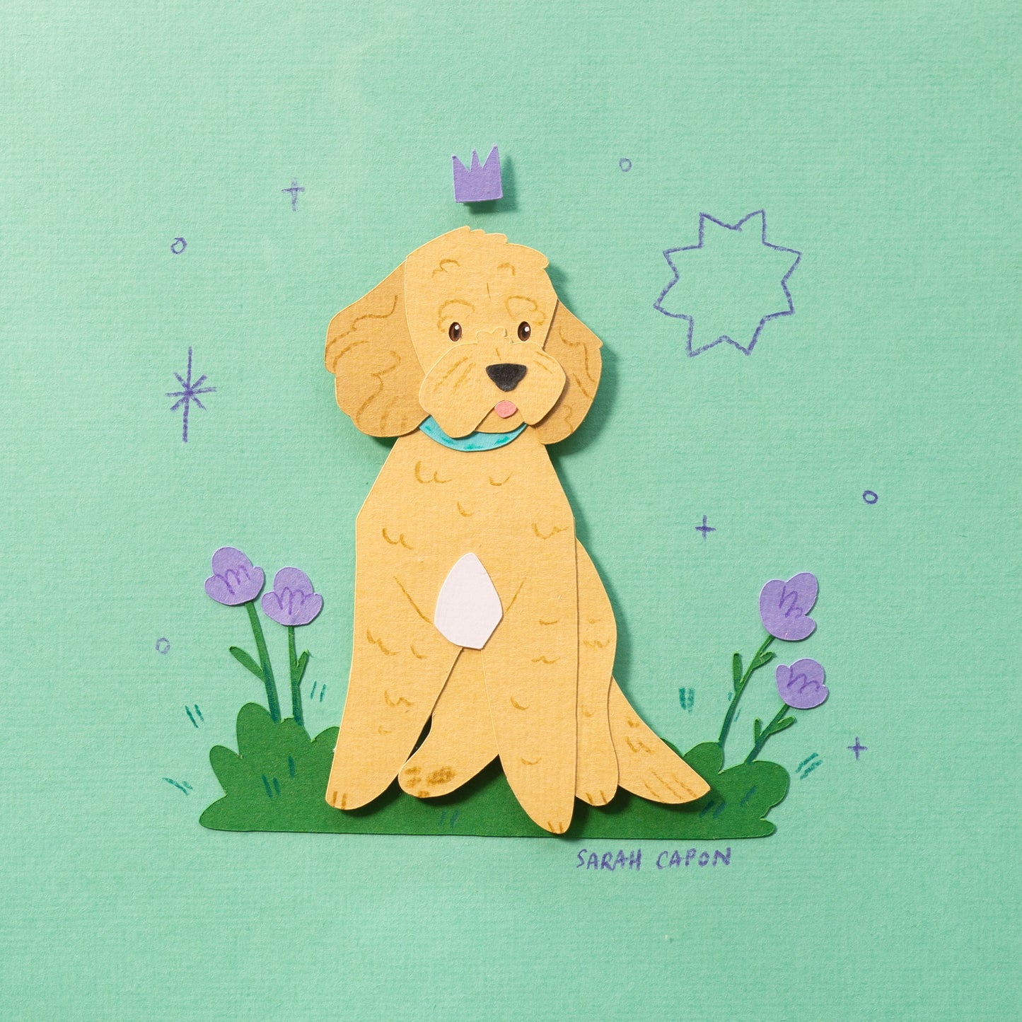 Small Poodle / Oodle