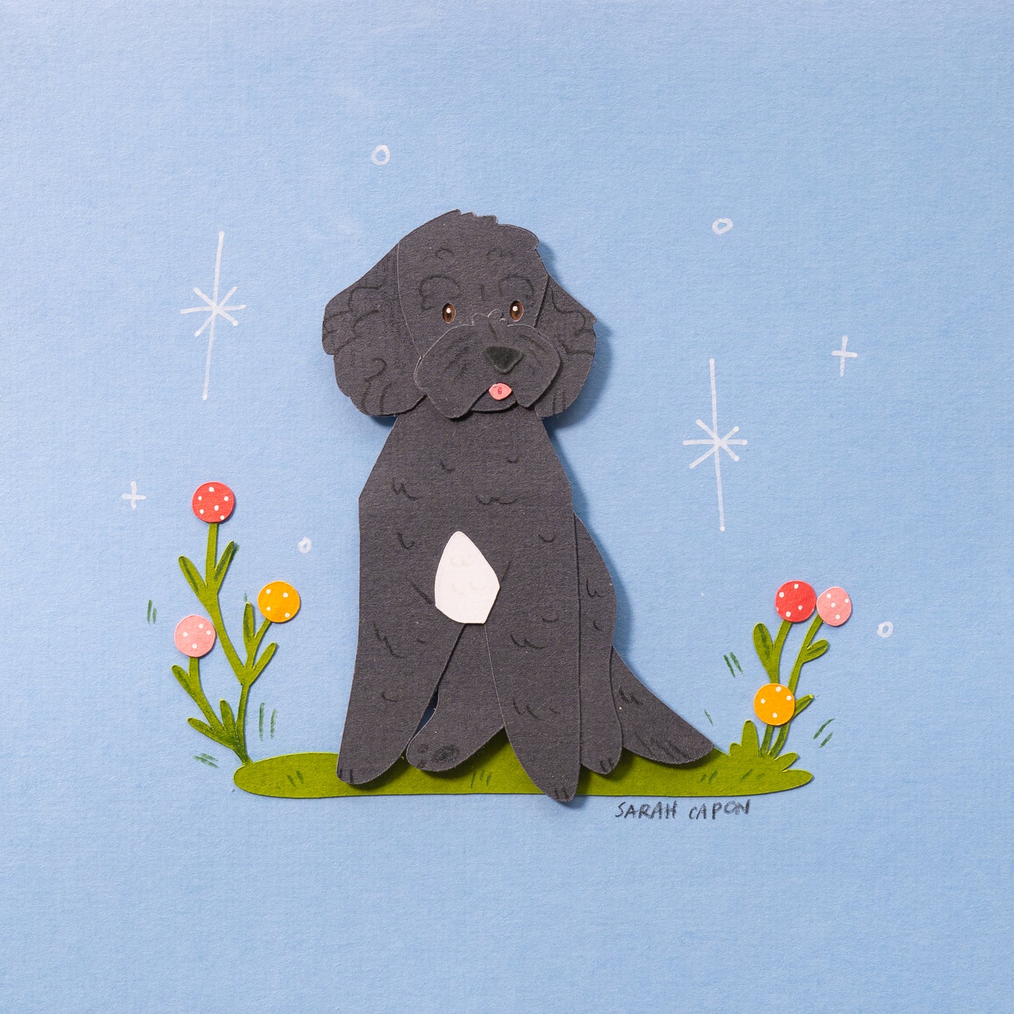 Small Poodle / Oodle