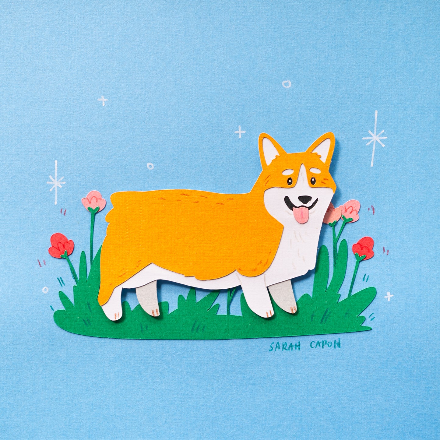 Corgis