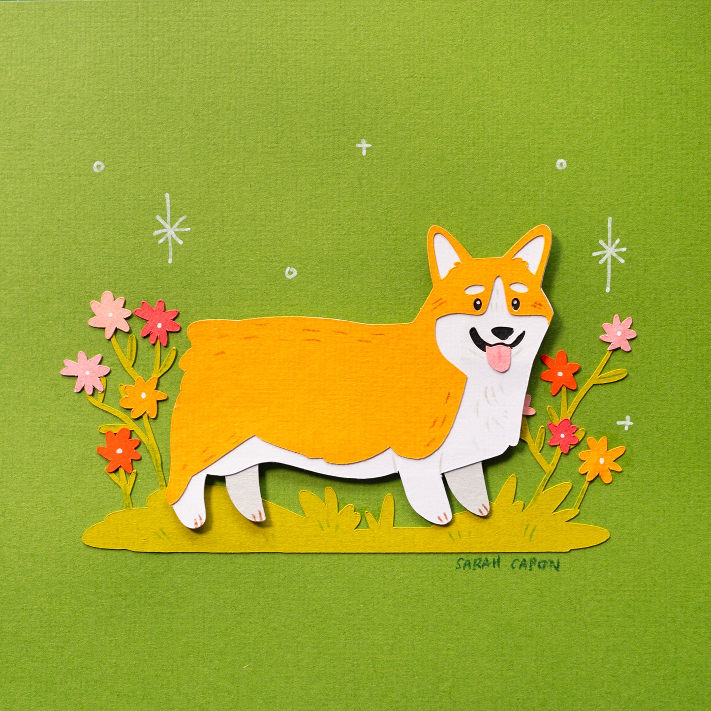 Corgis