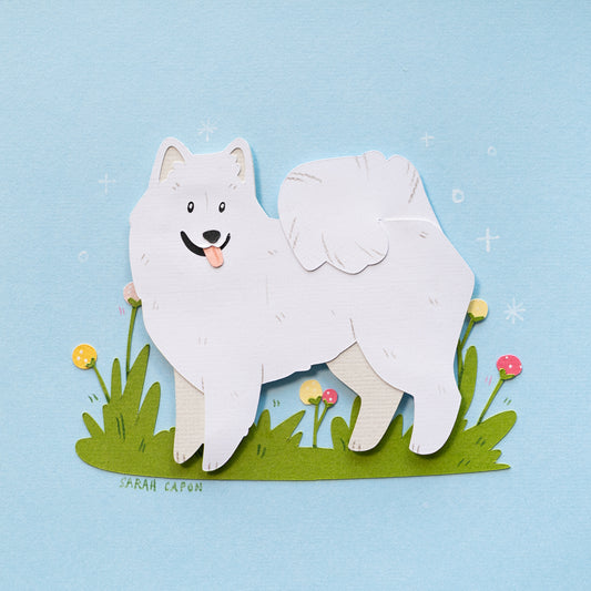 Samoyed
