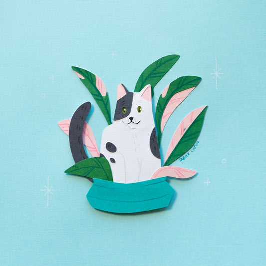 Black and White Cats in Plants