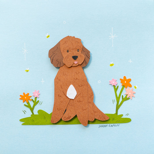 Small Poodle / Oodle