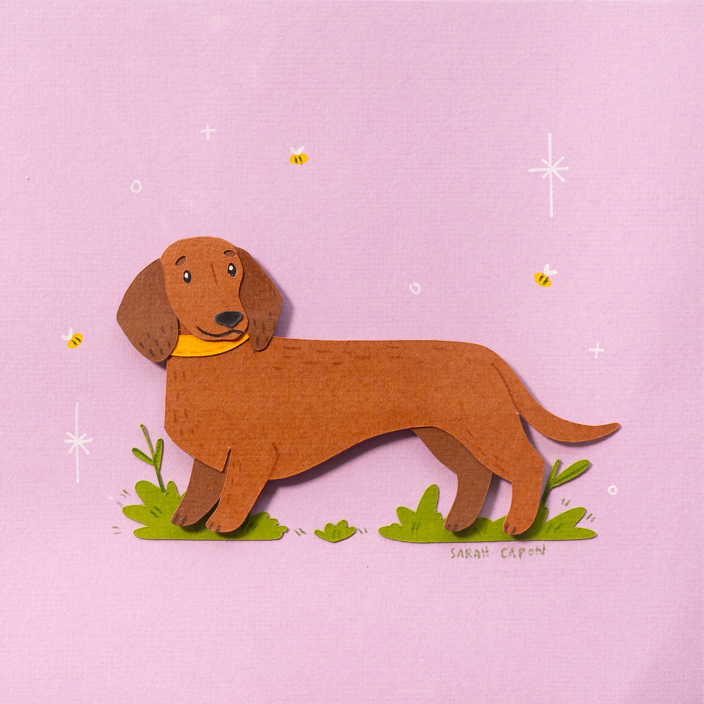 Sausage Dogs