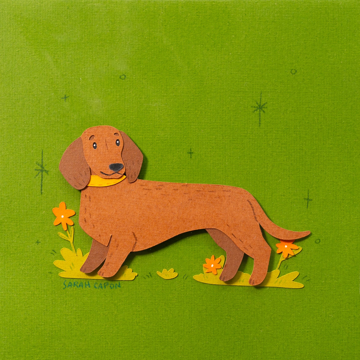 Sausage Dogs
