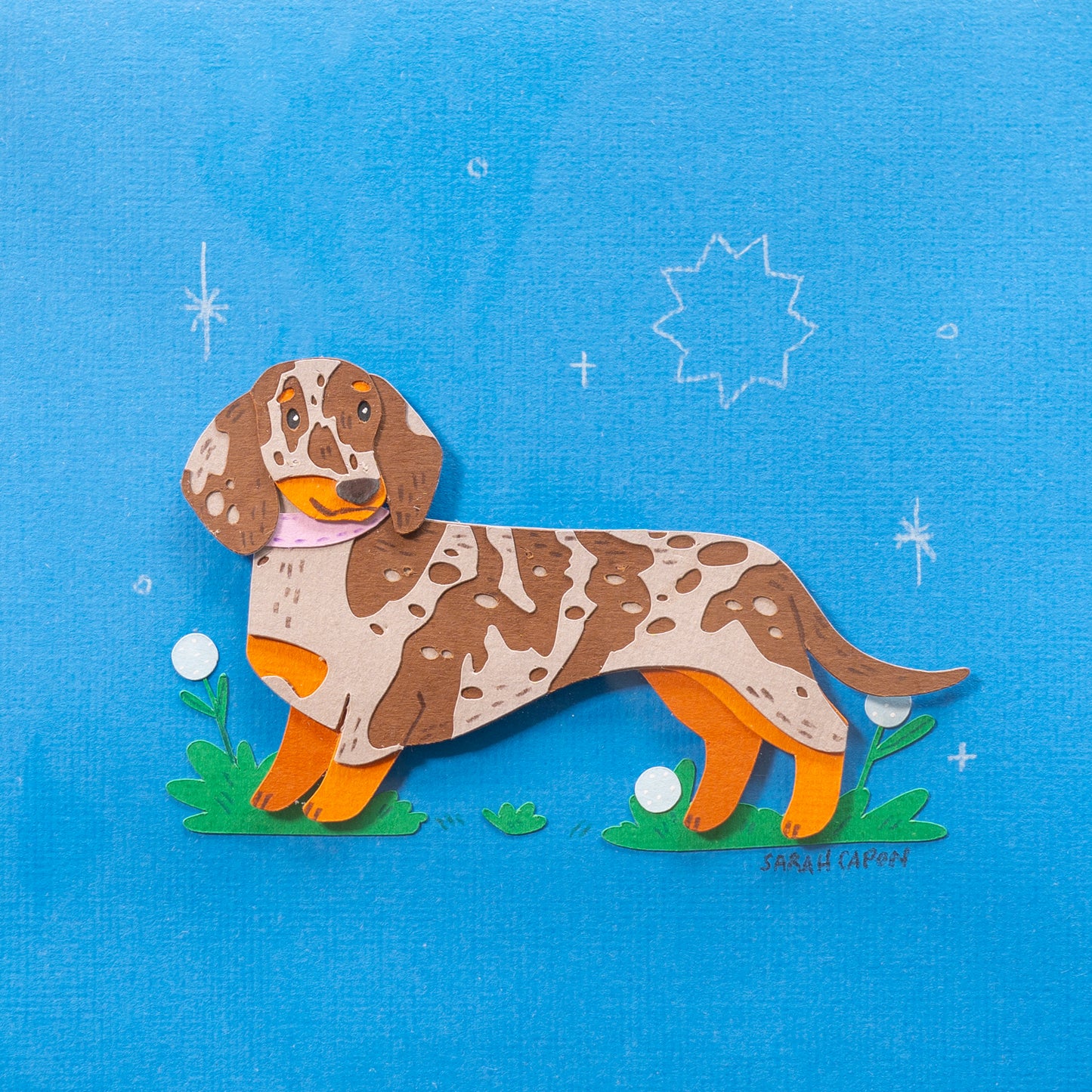Sausage Dogs