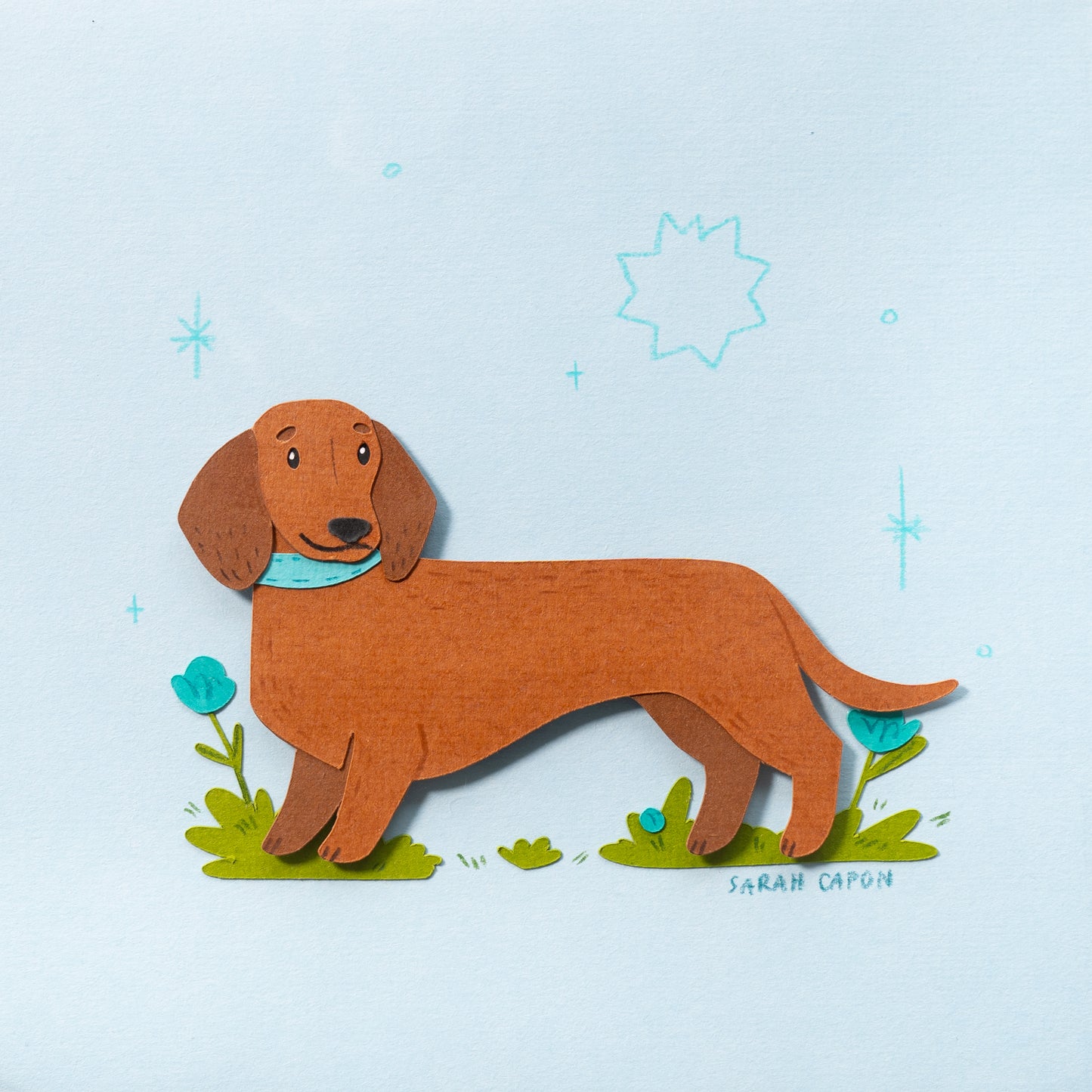 Sausage Dogs