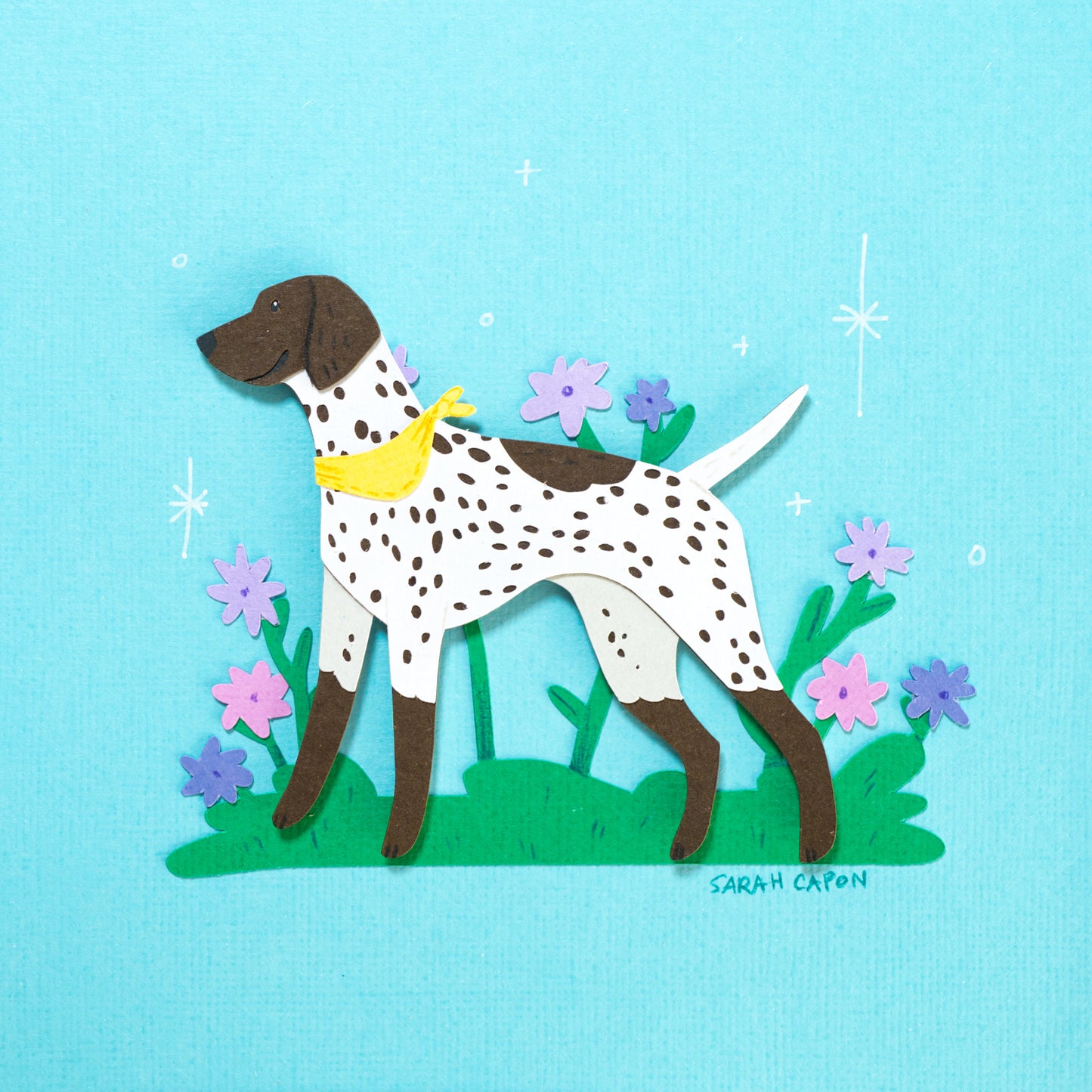 German Shorthaired Pointer