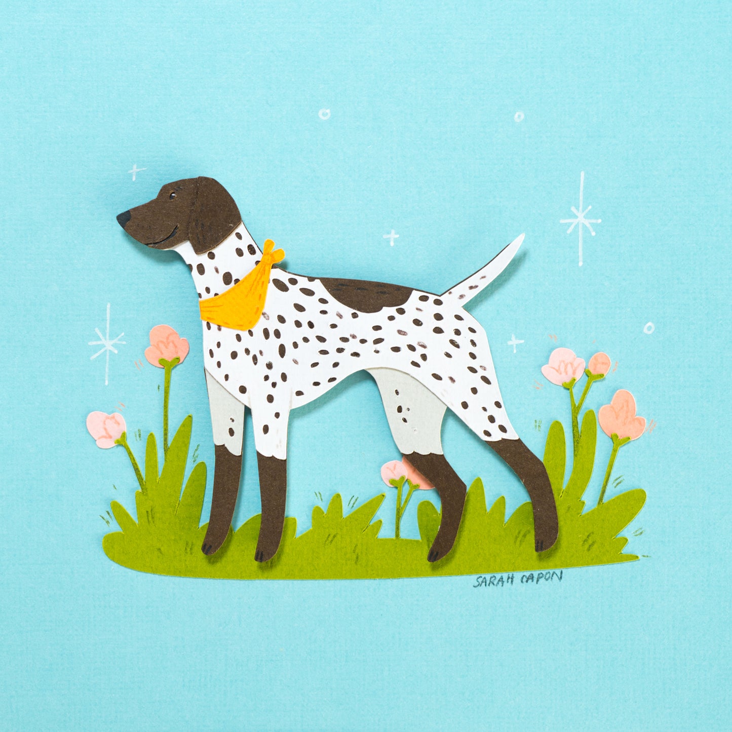 German Shorthaired Pointer