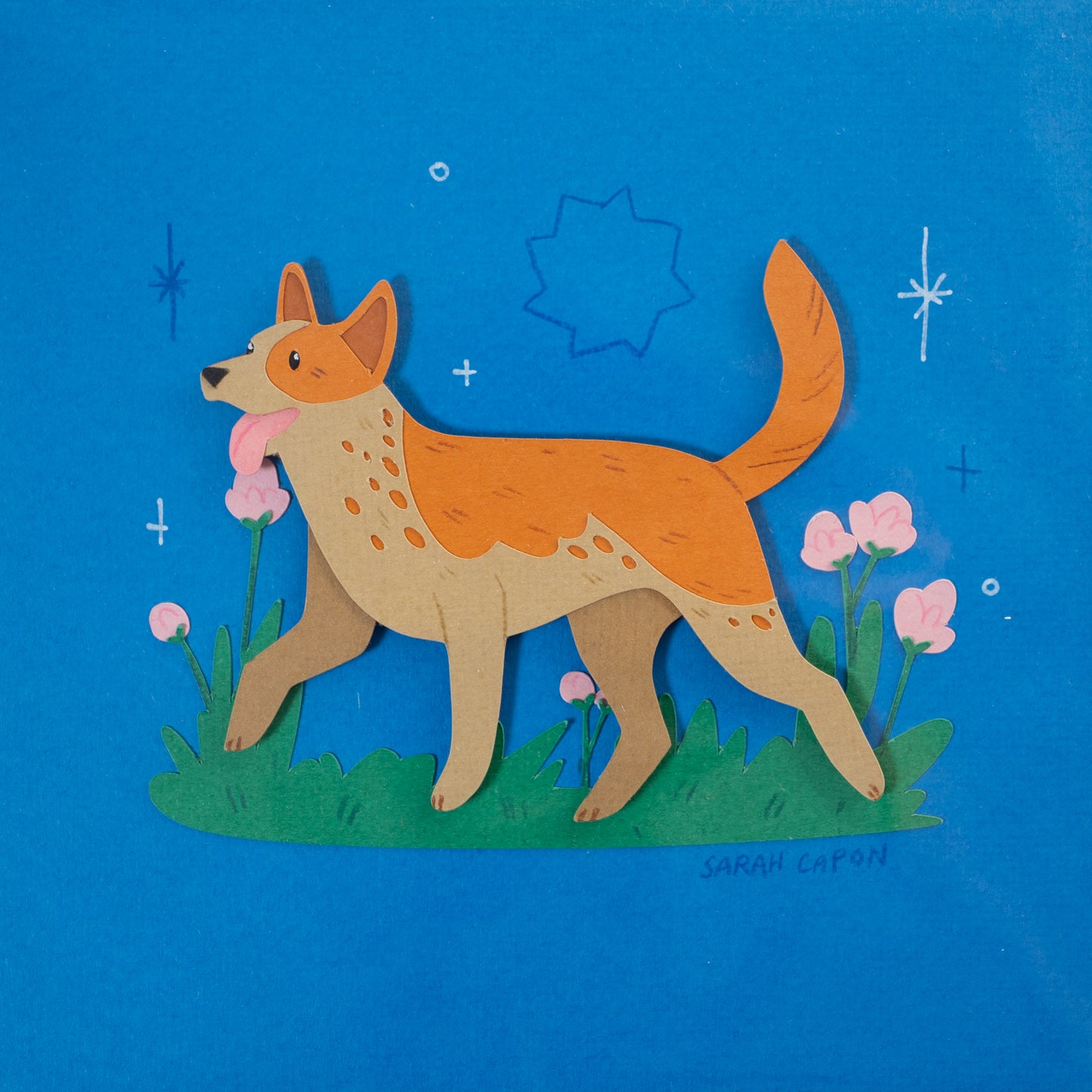 Australian Cattle Dogs