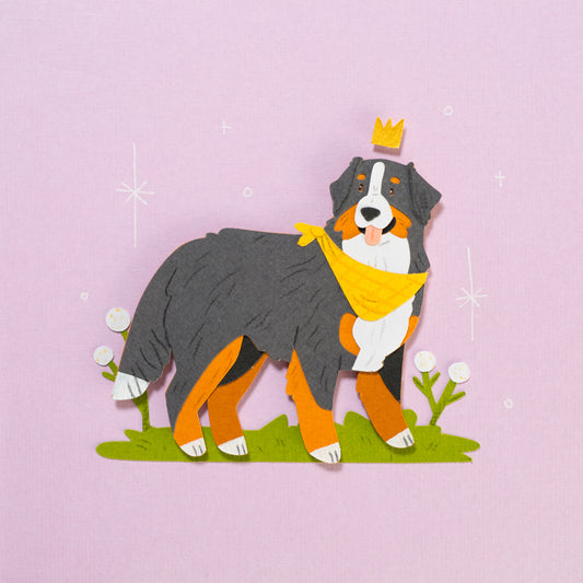 Bernese Mountain Dogs