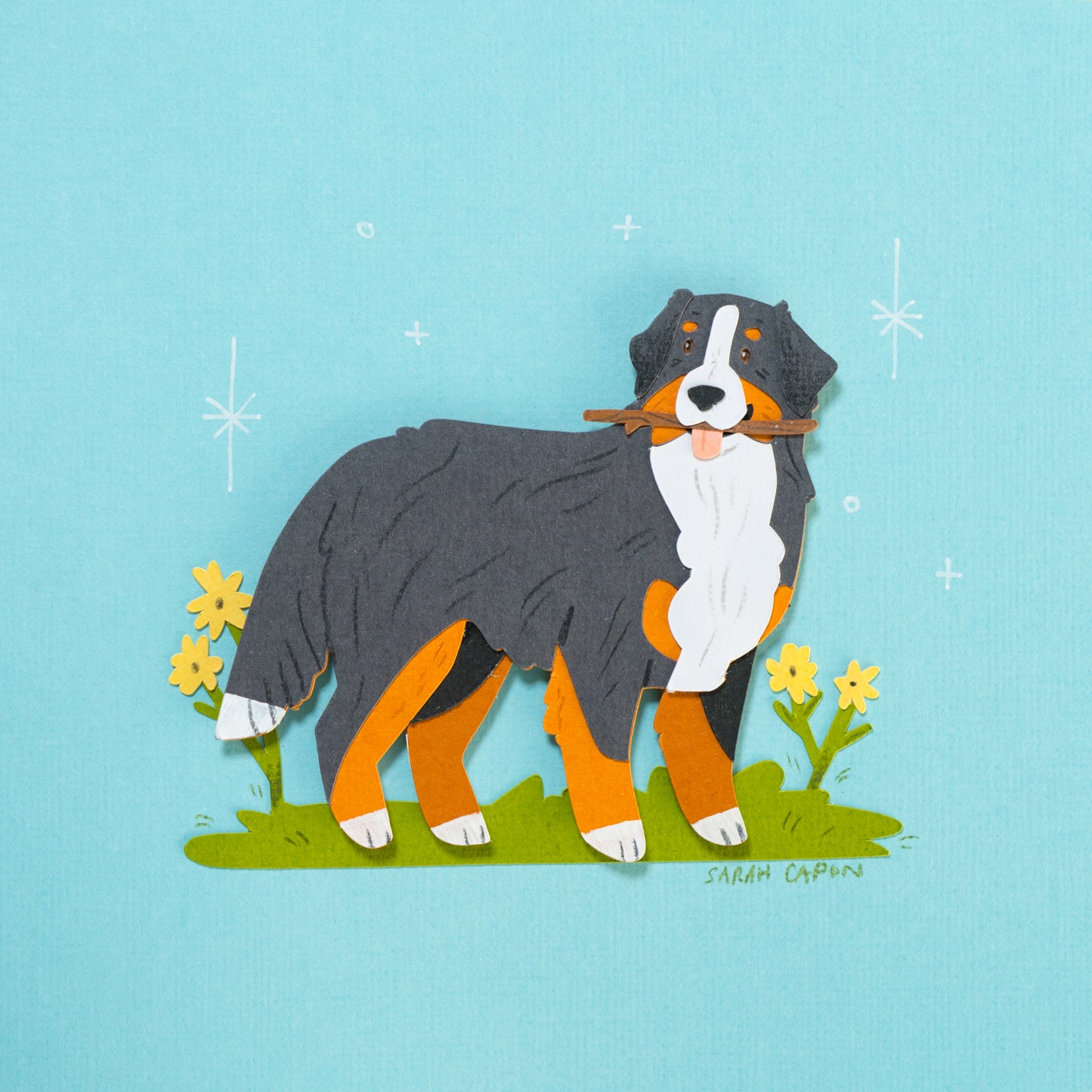 Bernese Mountain Dogs