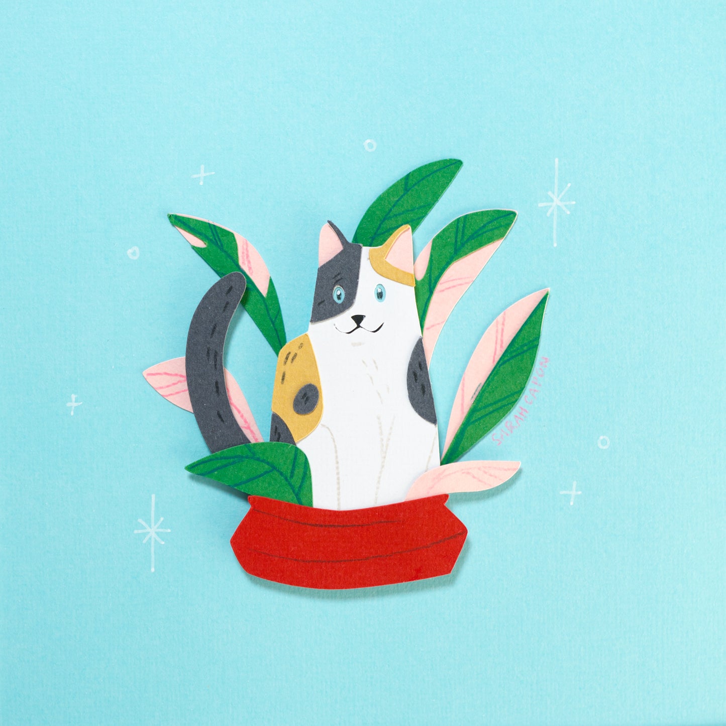 Calico Cats in Plants