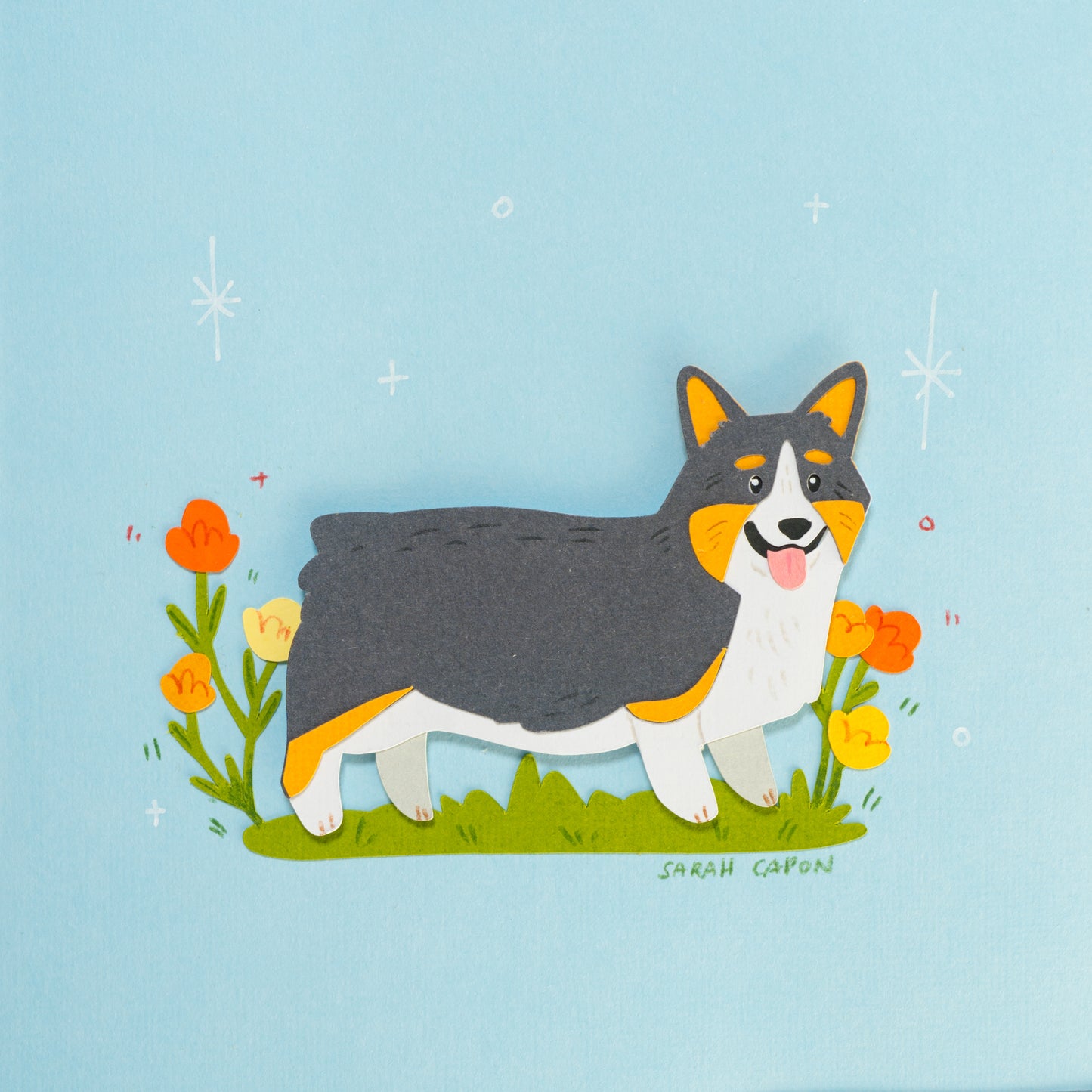 Corgis