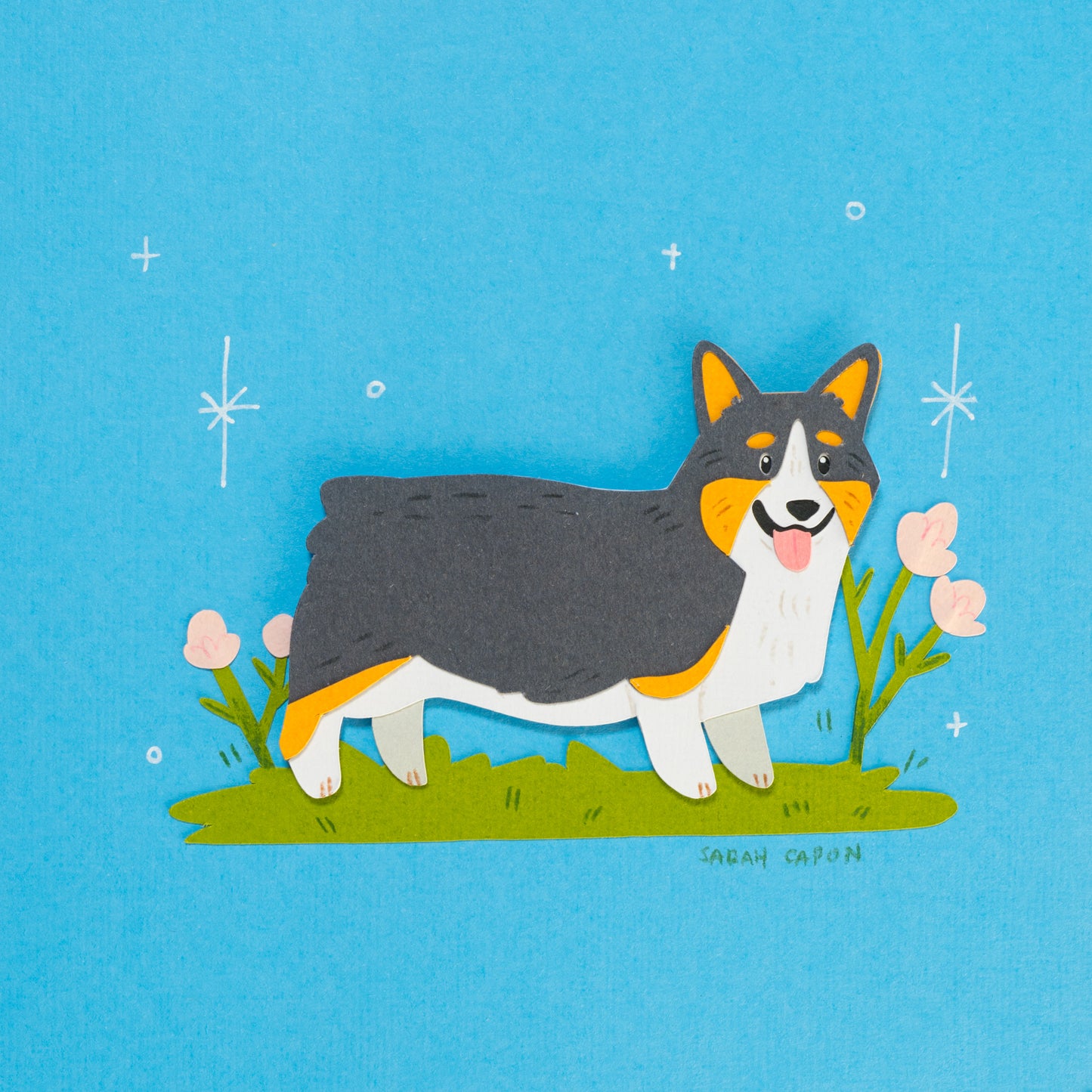 Corgis