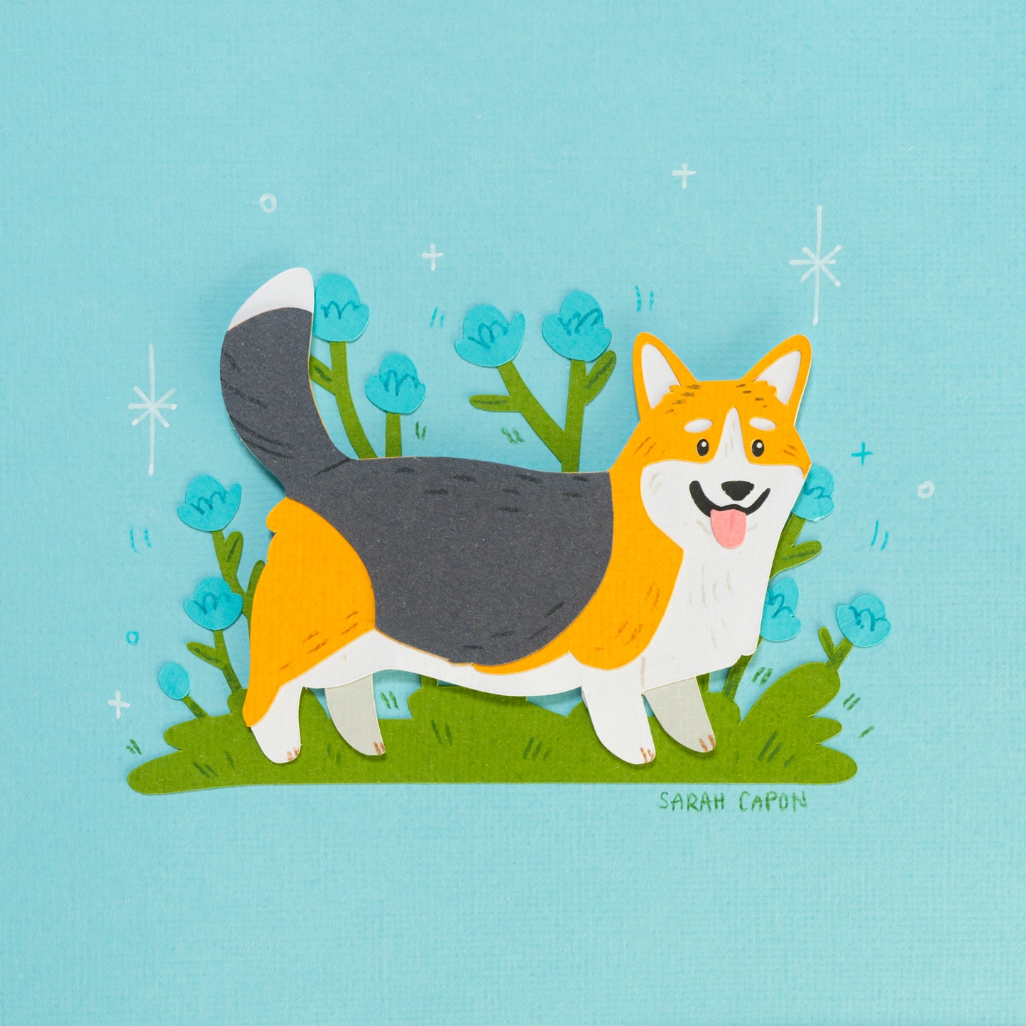 Corgis
