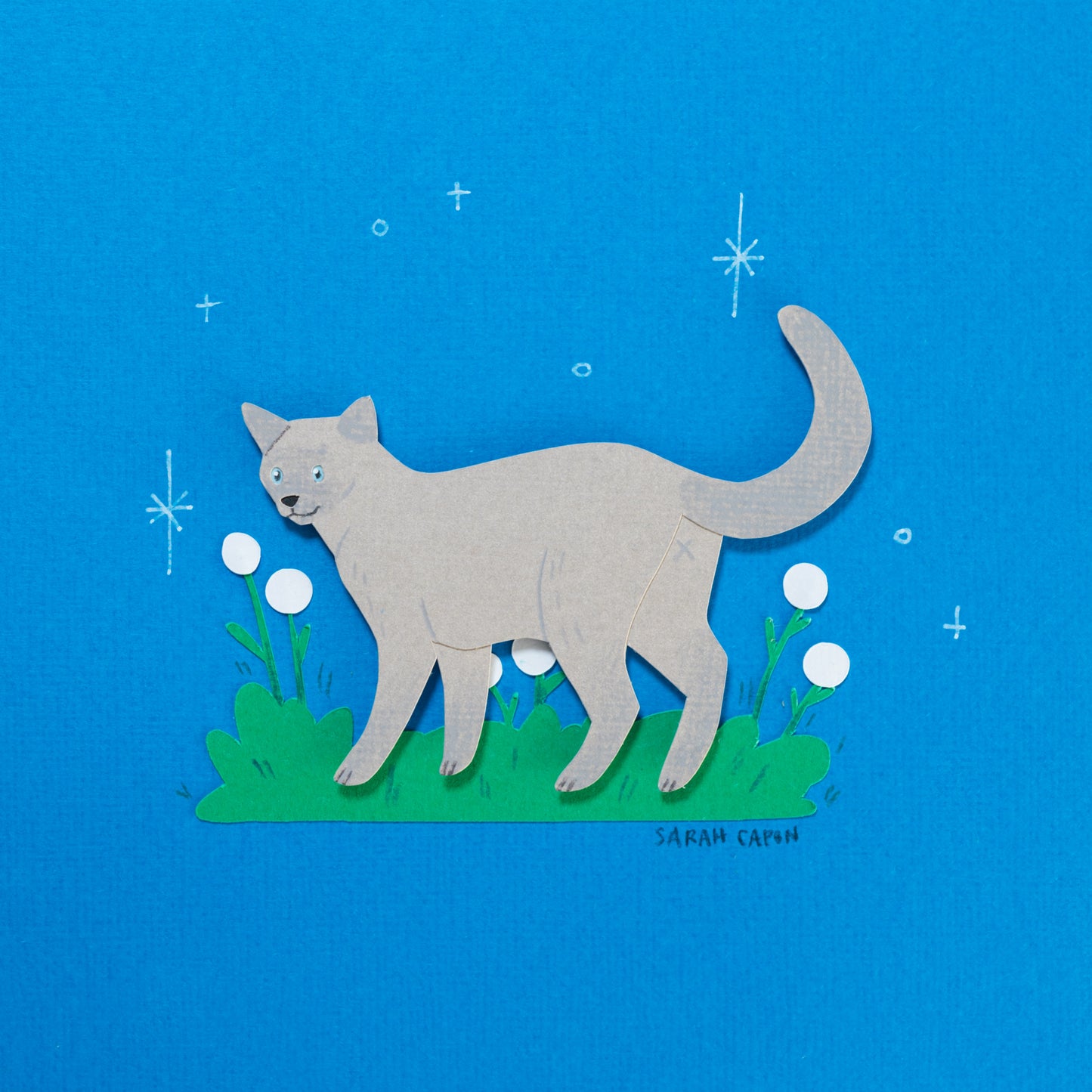 Cats Among Flowers